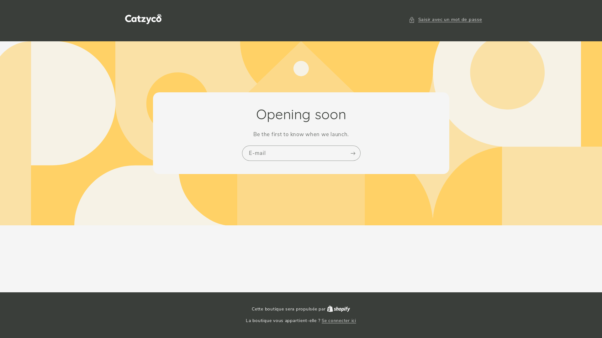 website screenshot of https://catzyco.com/