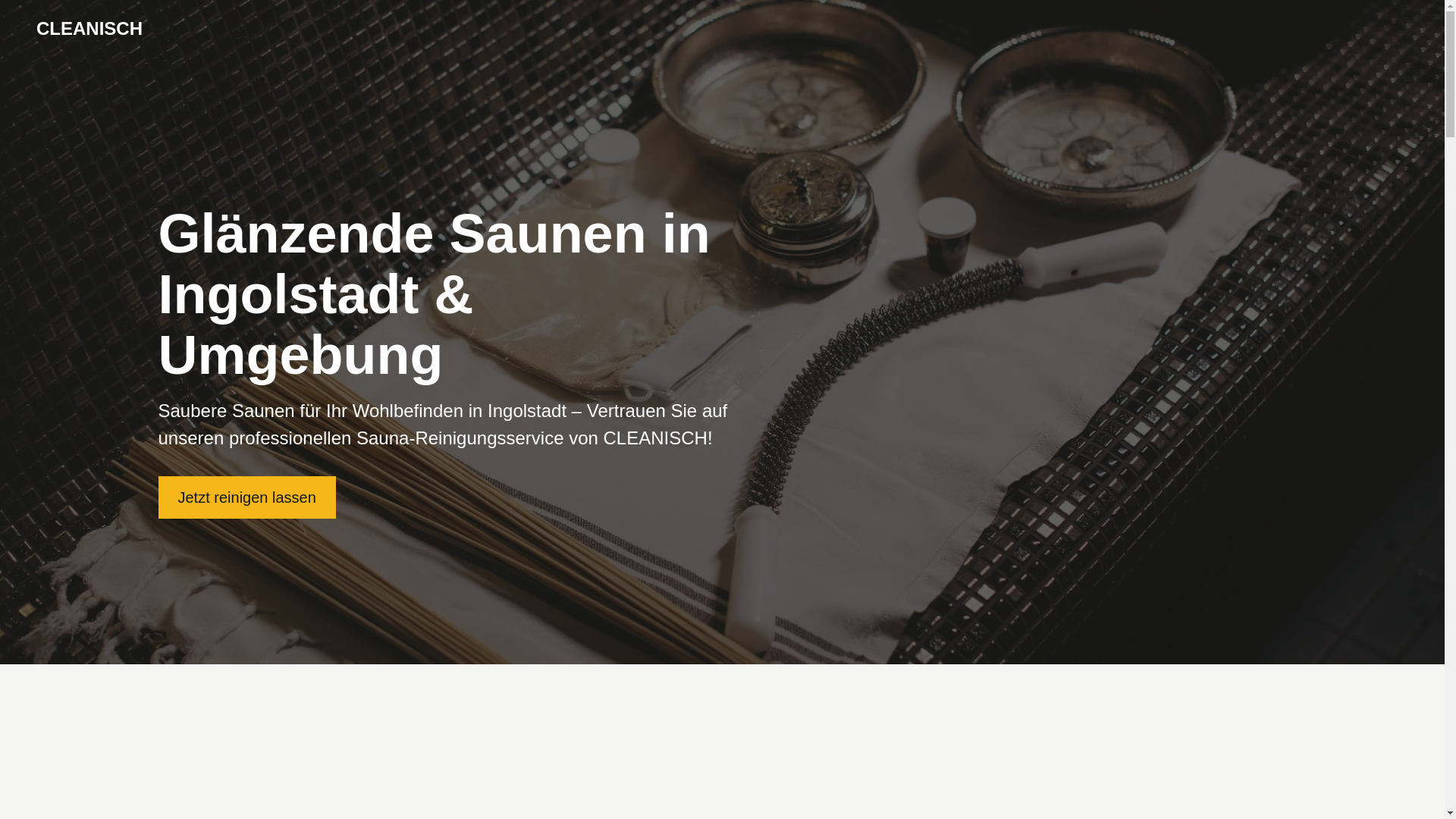 website screenshot of https://cleanisch.net/