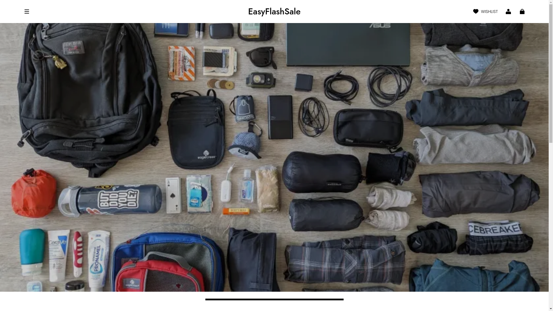 website screenshot of https://easyflashsale.com/