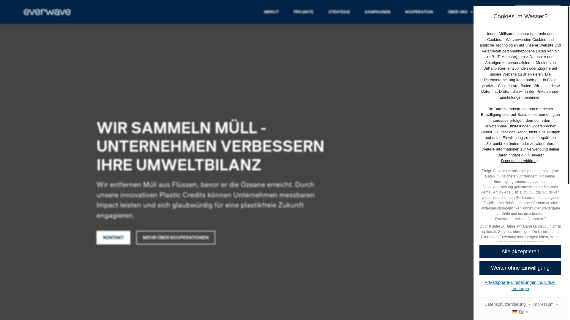 website screenshot of https://useeverwave.com/