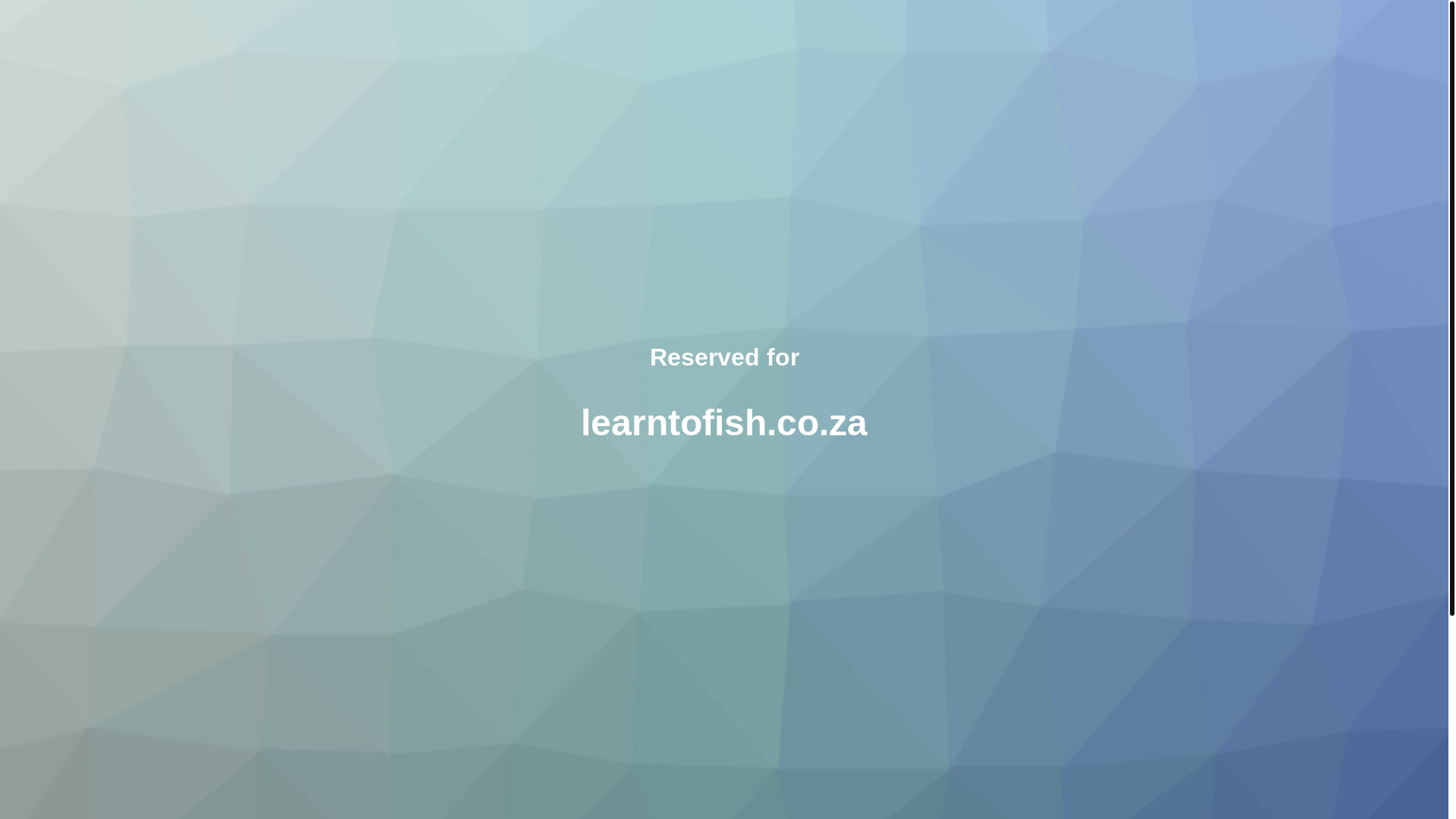 website screenshot of https://learntofish.co.za/