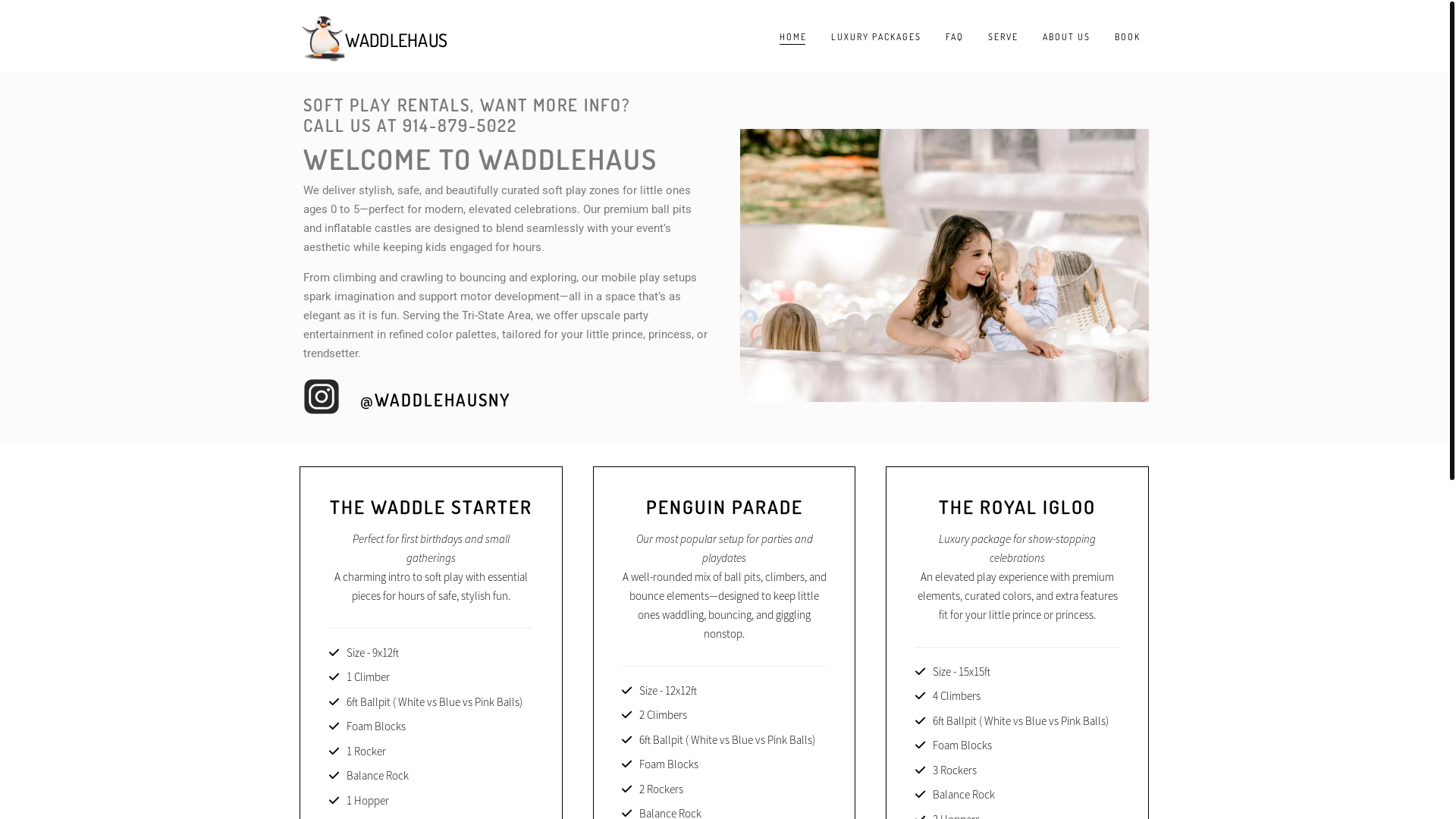 website screenshot of https://waddlehausny.com/