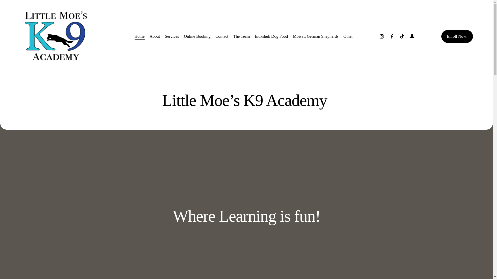 website screenshot of https://mowattcaninecompany.com/