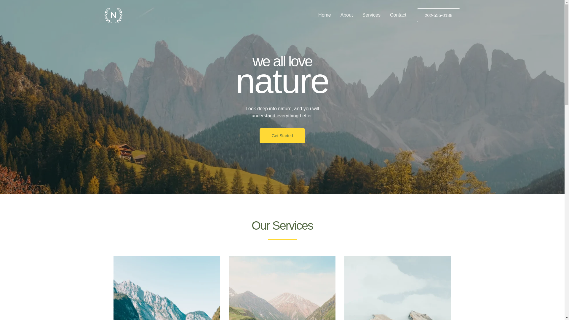 website screenshot of https://dleonscreenprinting.com/