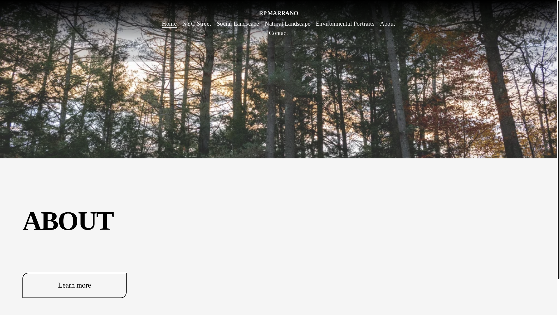 website screenshot of https://rpmarrano.com/