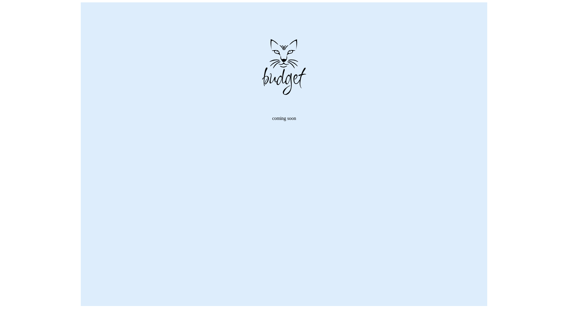 website screenshot of https://budgetcats.ch/