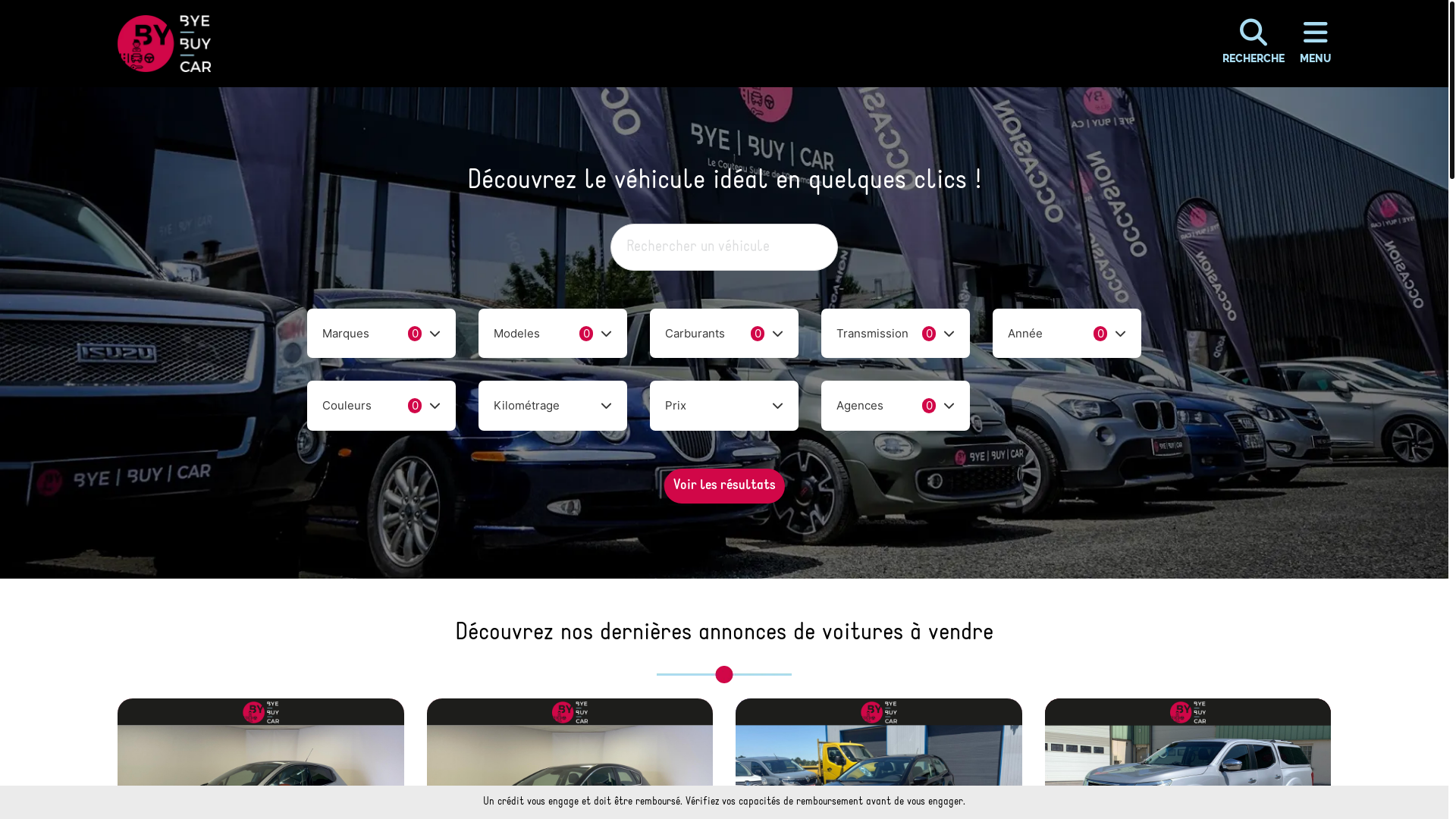 website screenshot of https://wandernestik.com/