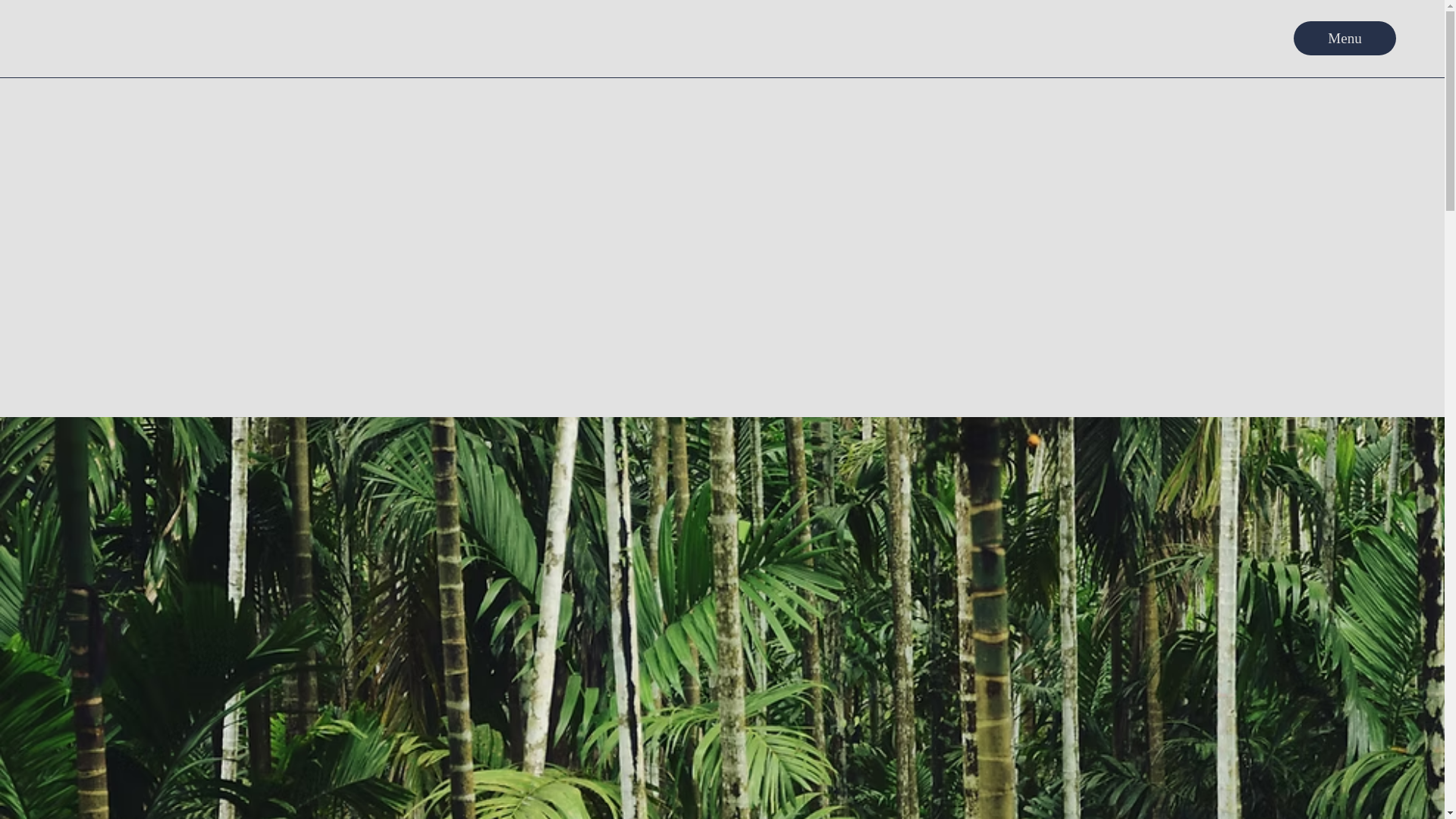 website screenshot of https://birdsnestcaters.com/