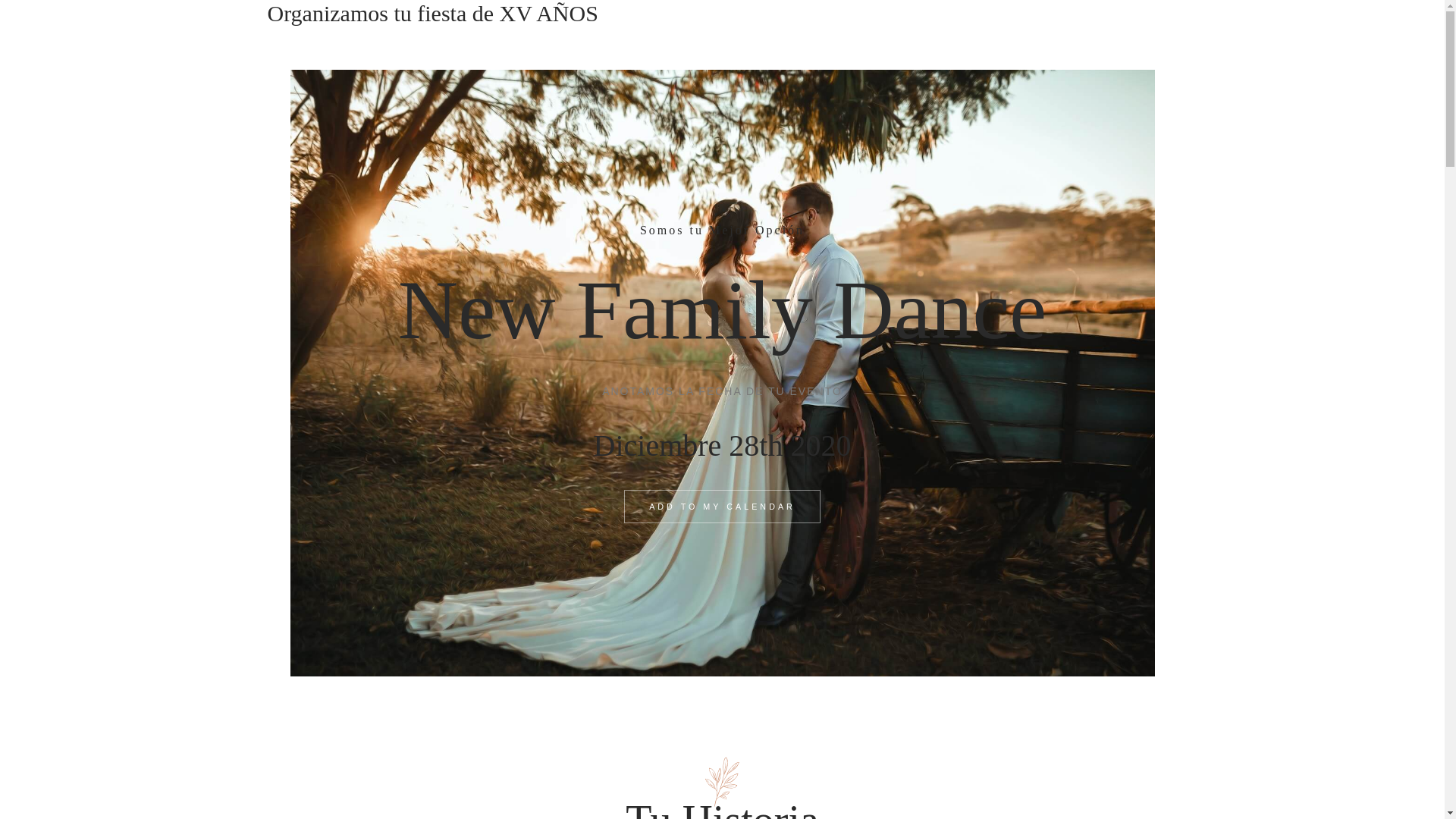 website screenshot of https://newfamilydance.com/