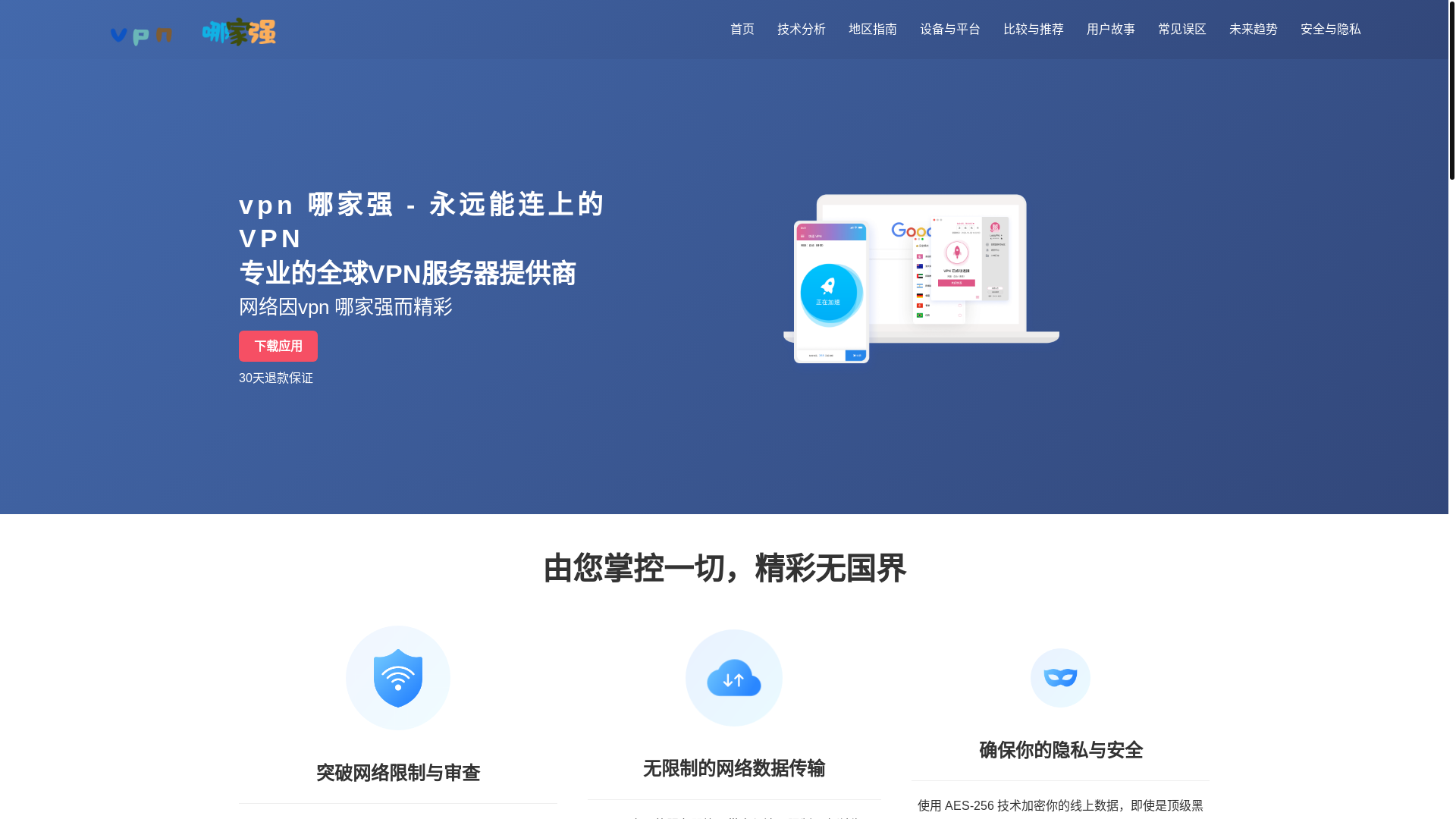 website screenshot of https://vpnjiasuqi-fast.com/