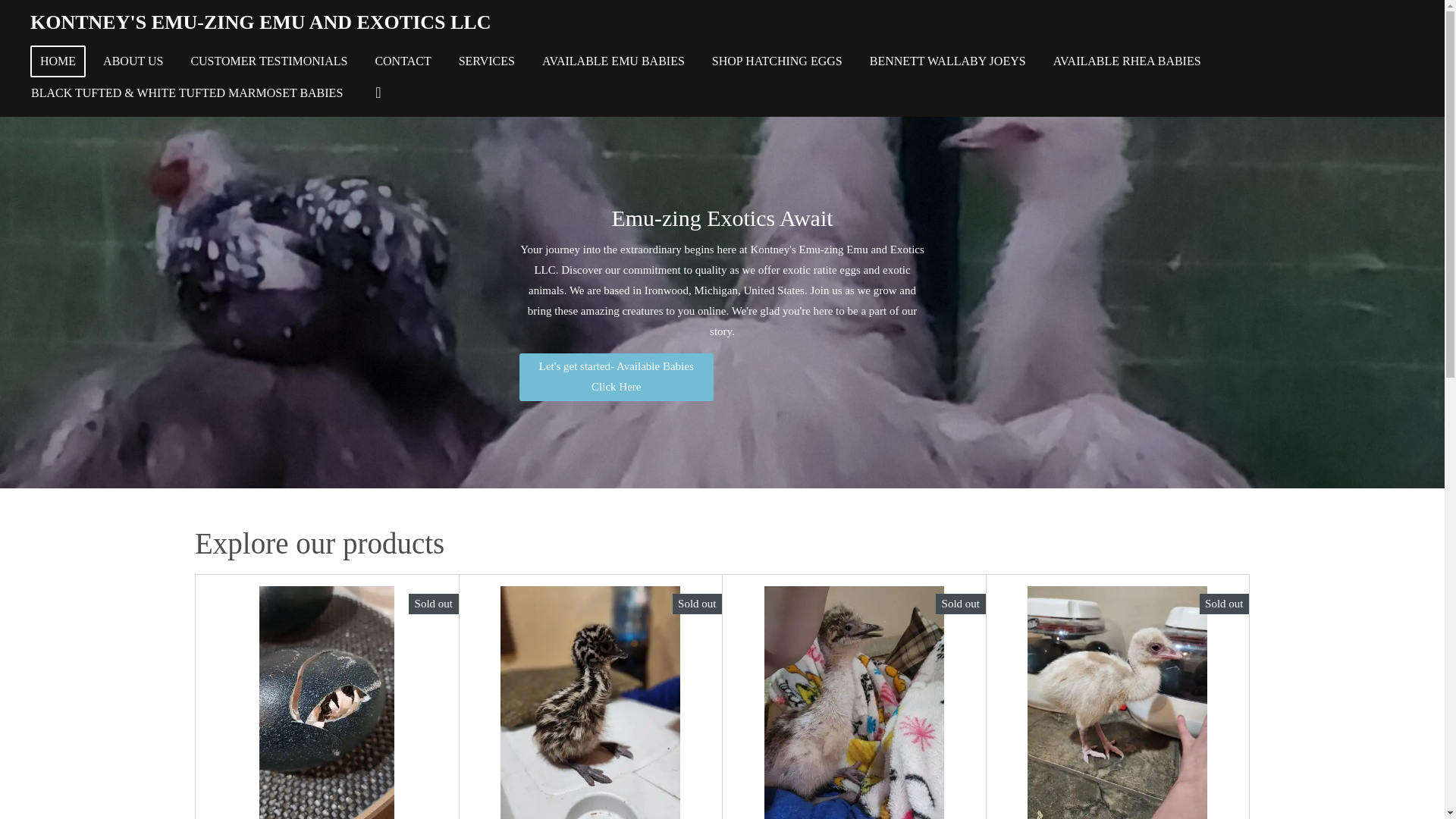 website screenshot of https://kontneys-emu-zing-emu-and-exotics-llc.com/