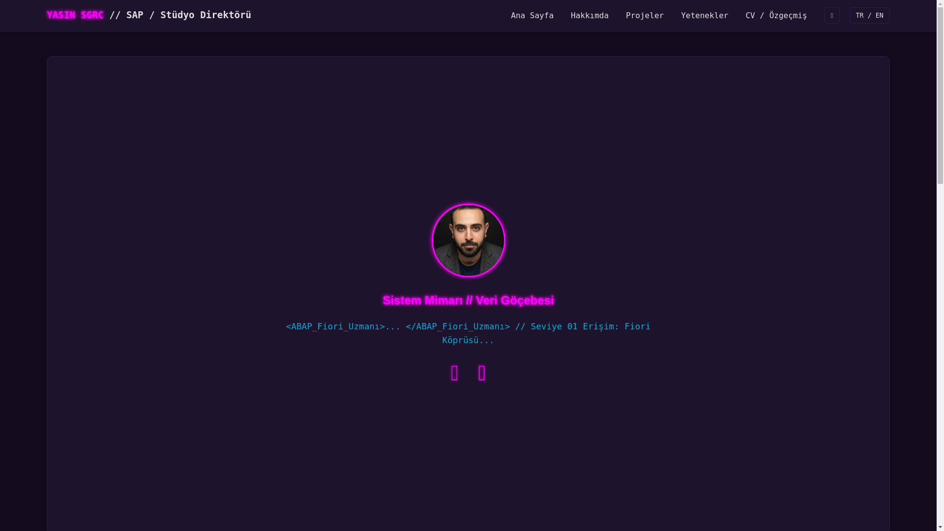 website screenshot of https://yasinsigirci.com.tr/