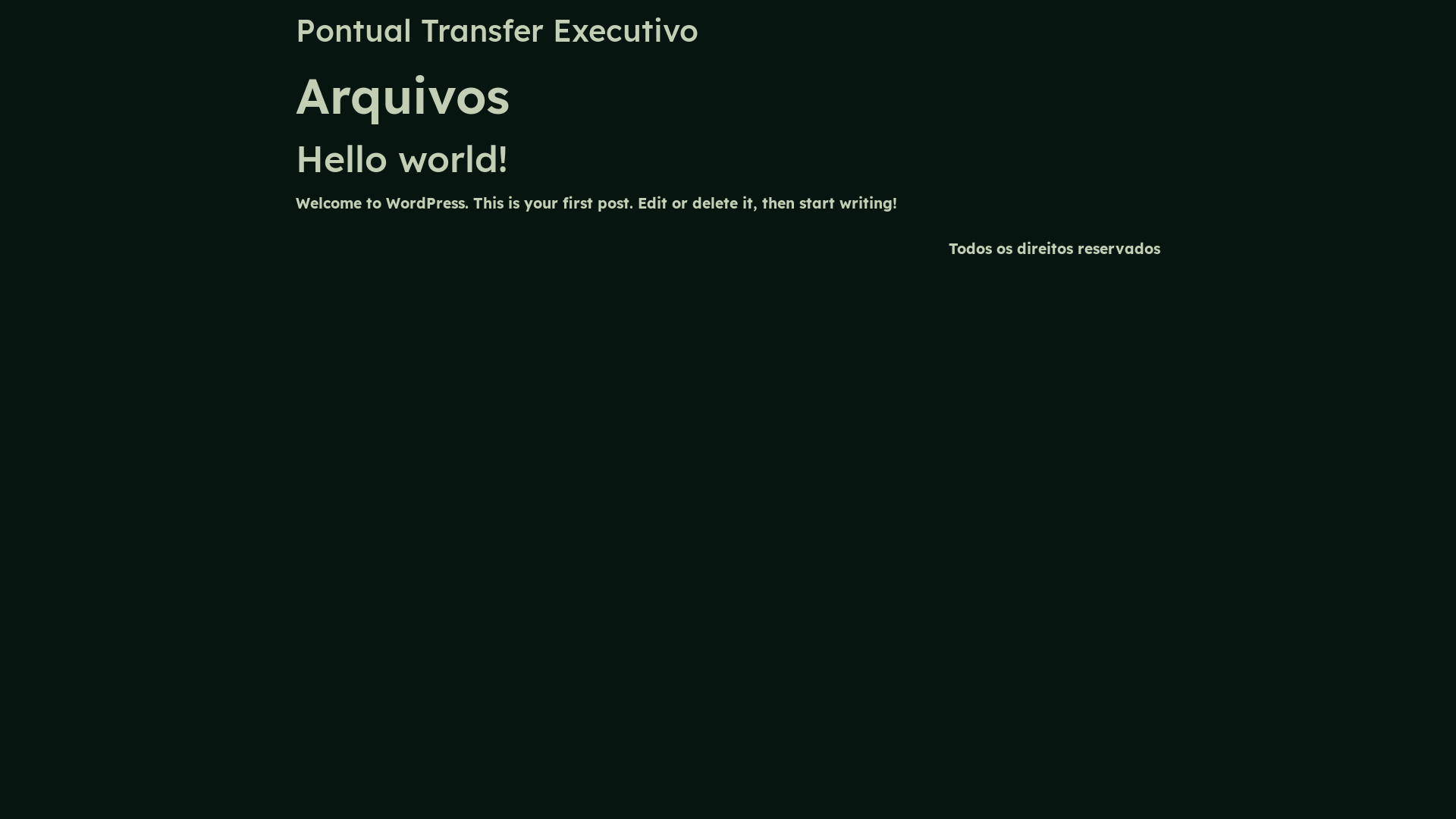 website screenshot of https://pontualtransfer.com.br/