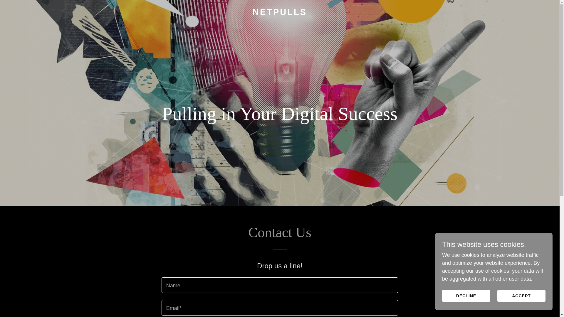 website screenshot of https://netpulls.com/