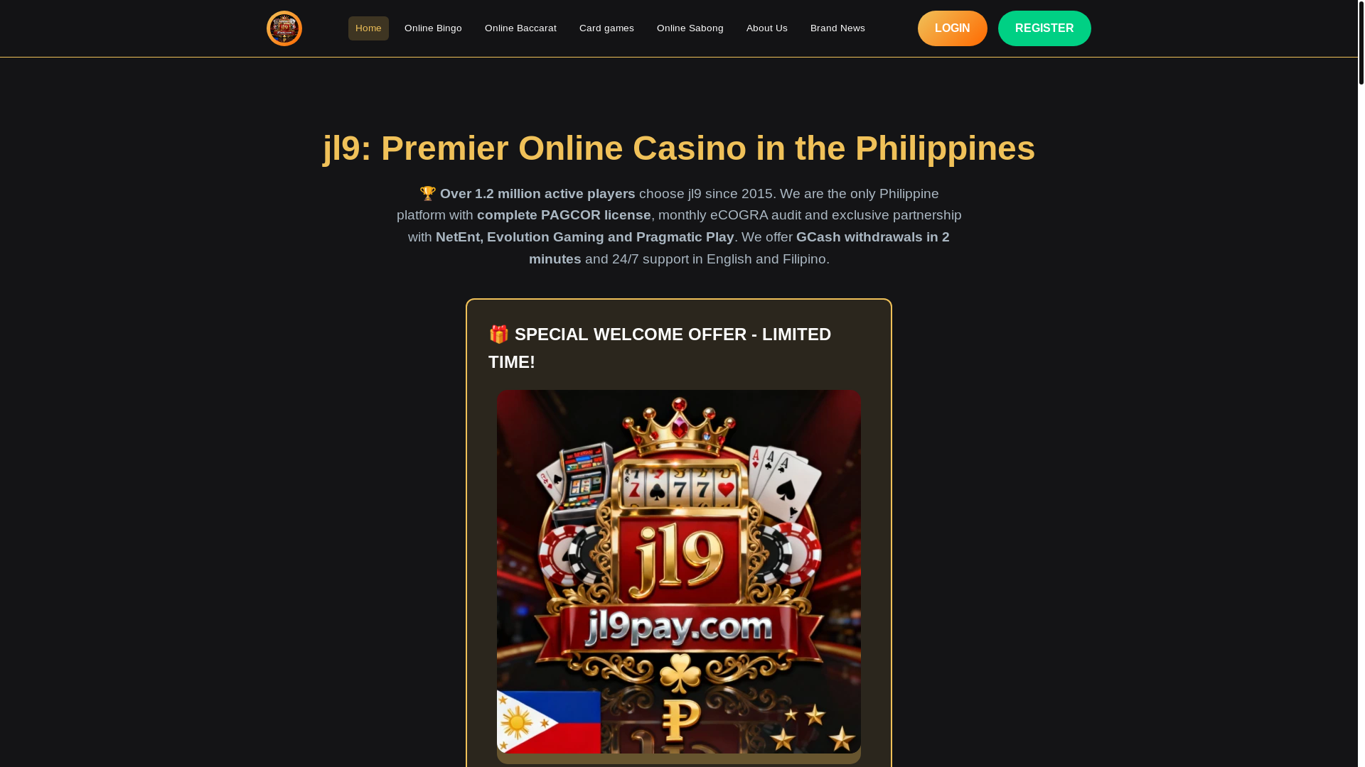 website screenshot of https://jl9pay.com/