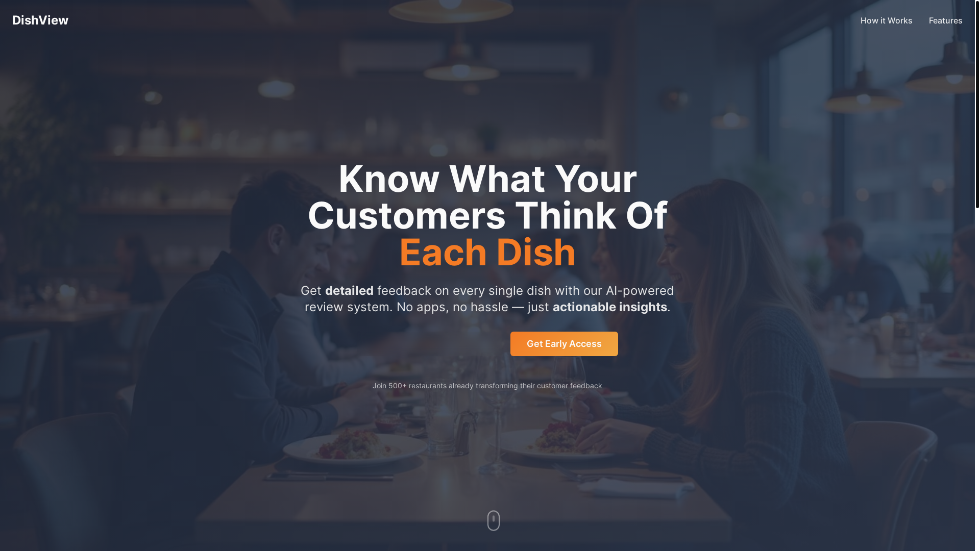 website screenshot of https://dishview.co/