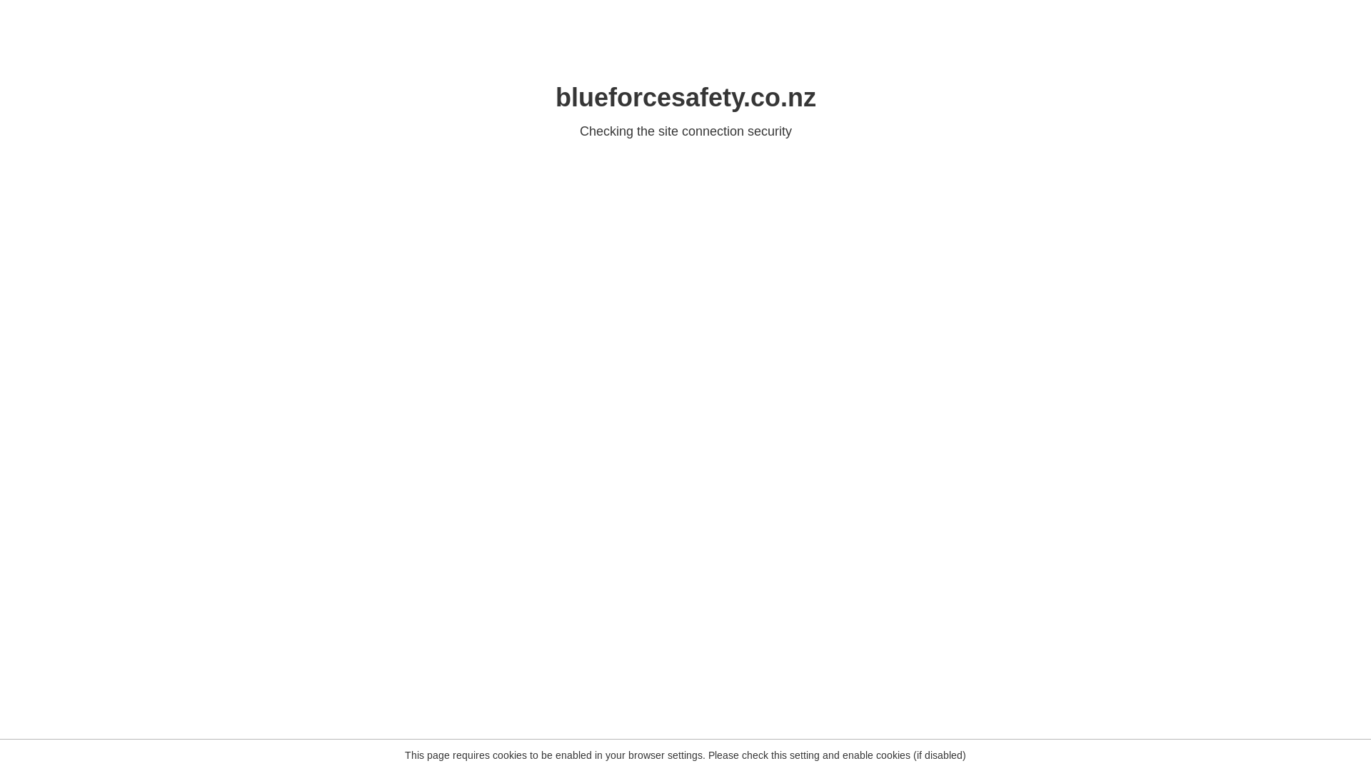 website screenshot of https://blueforcesafety.co.nz/