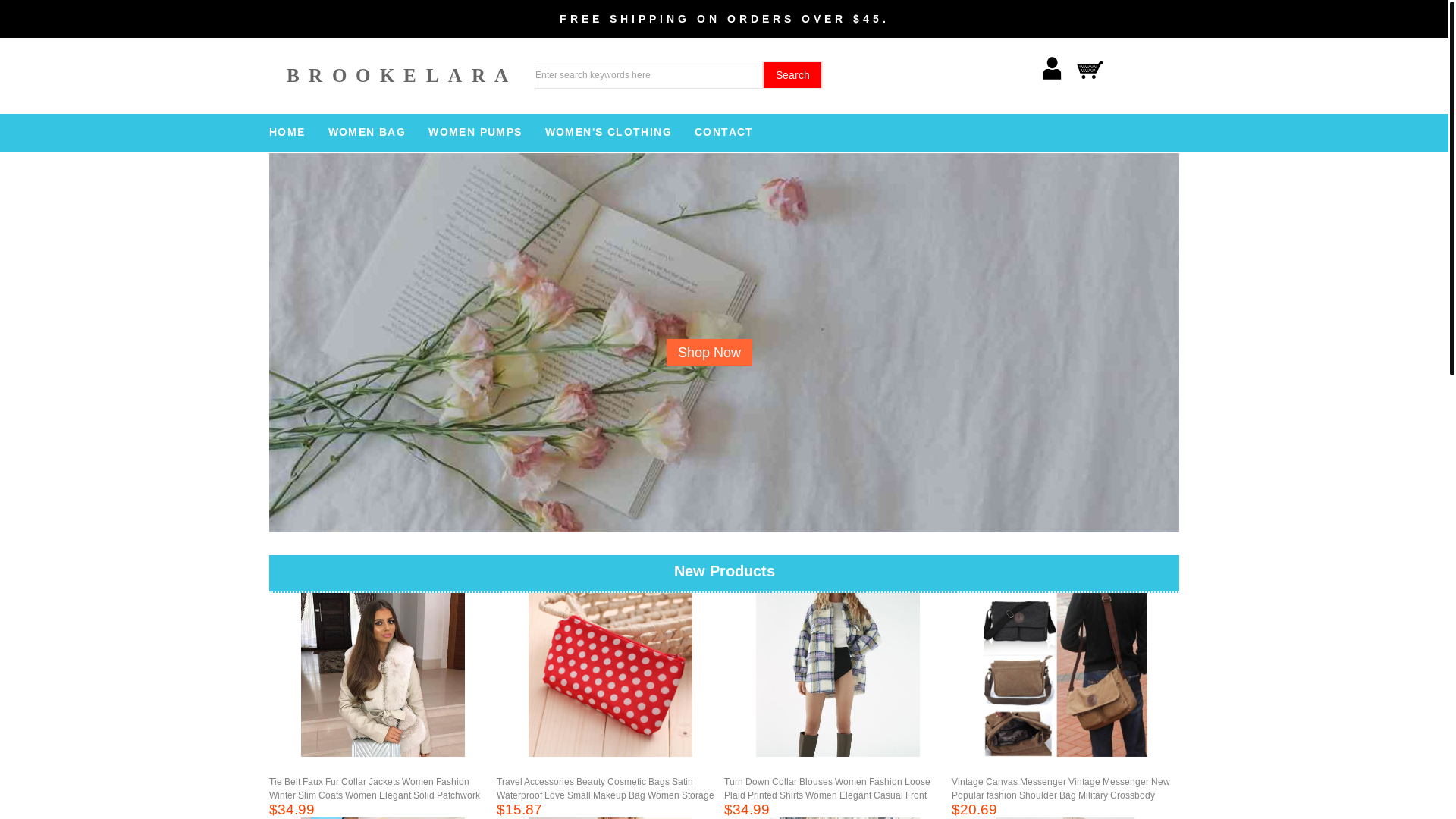 website screenshot of https://brookelara.top/