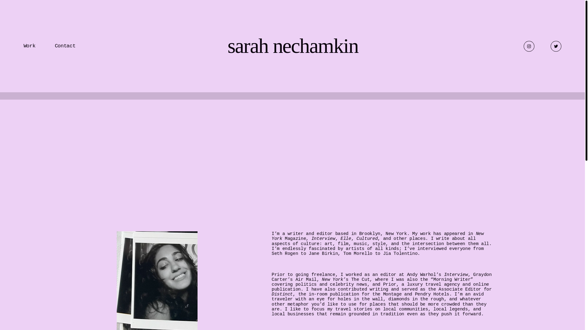 website screenshot of https://sarahnechamkin.com/