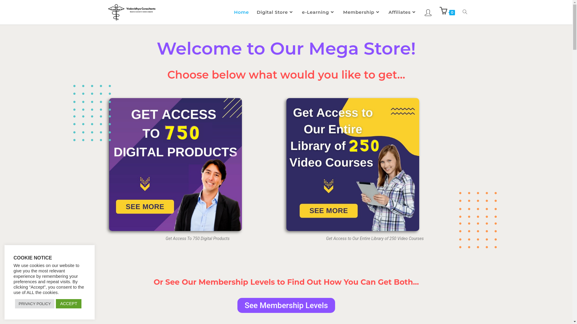 website screenshot of https://vedavidhyaconsultant.com/