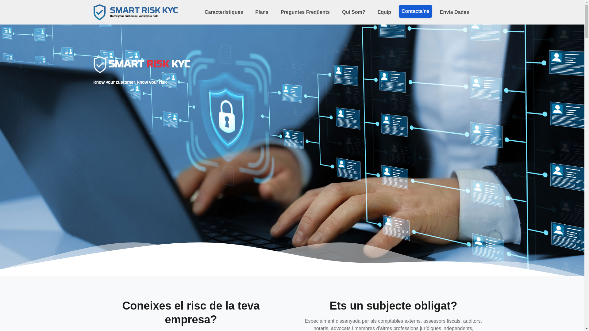 website screenshot of https://smartriskkyc.com/
