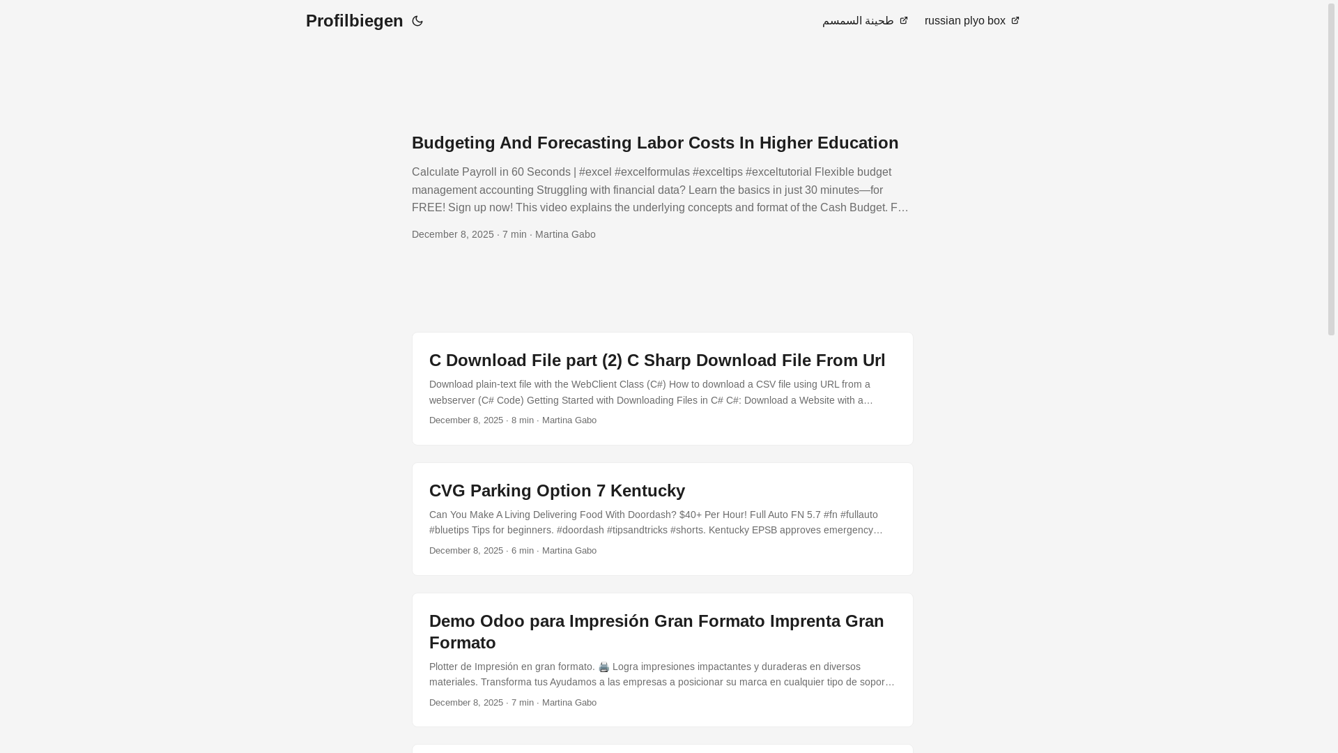 website screenshot of https://profilbiegen.pages.dev/