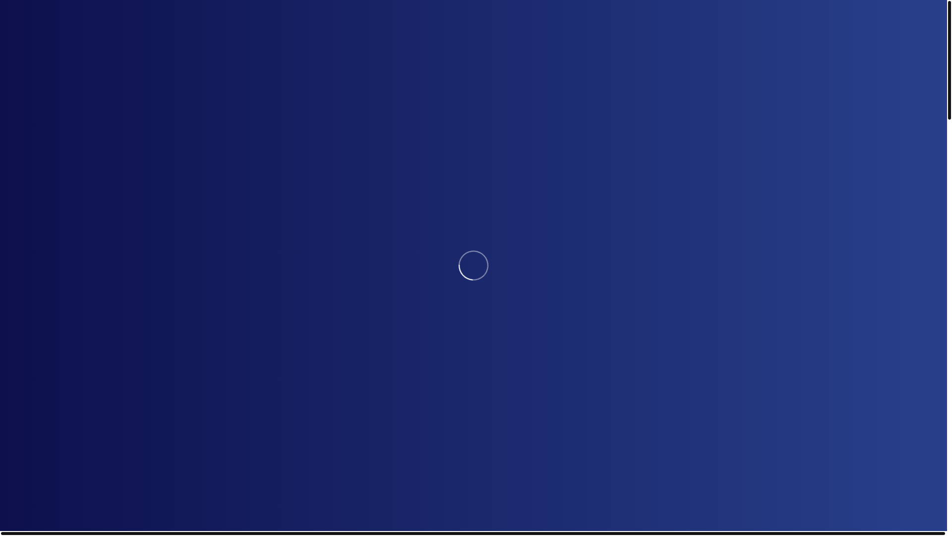 website screenshot of https://vaycoin.world/