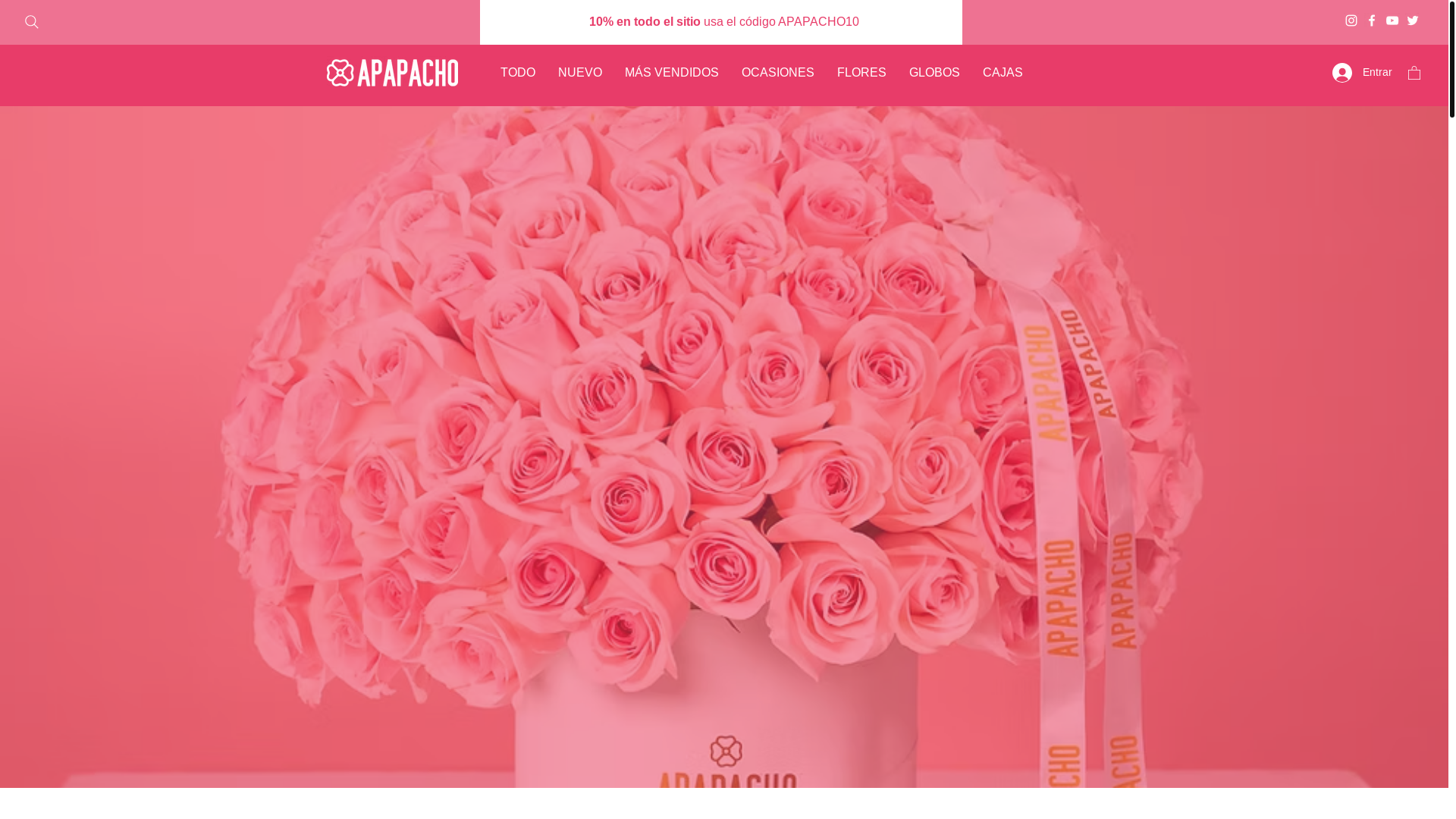 website screenshot of https://apapachofloreria.com/