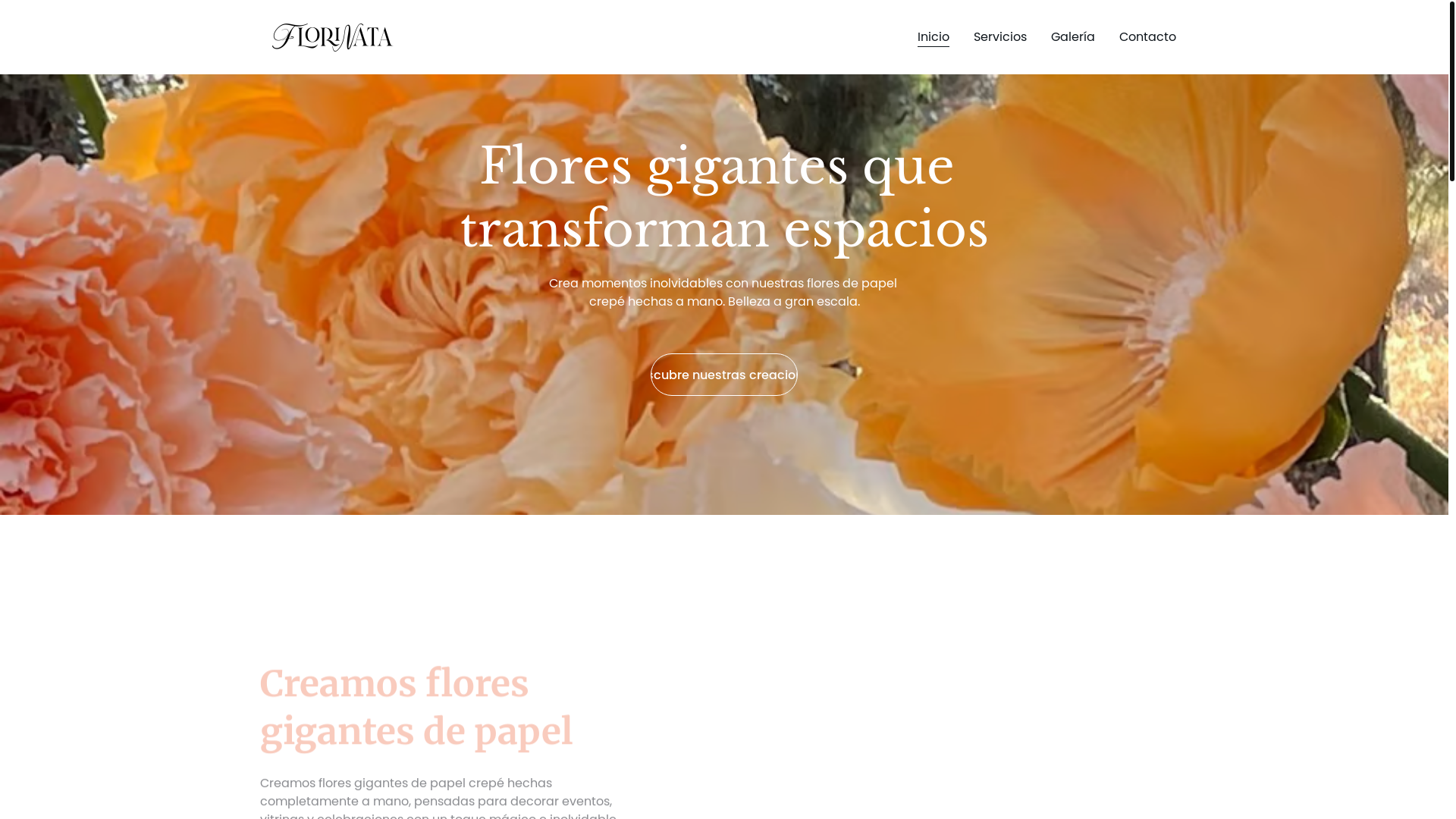 website screenshot of https://florinata.es/