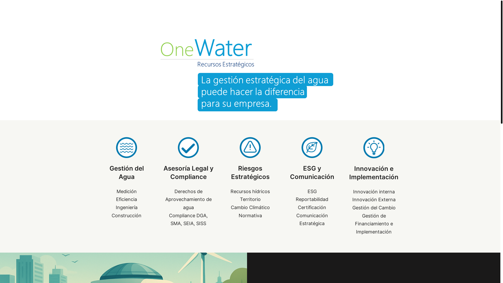 website screenshot of https://onewater.cl/