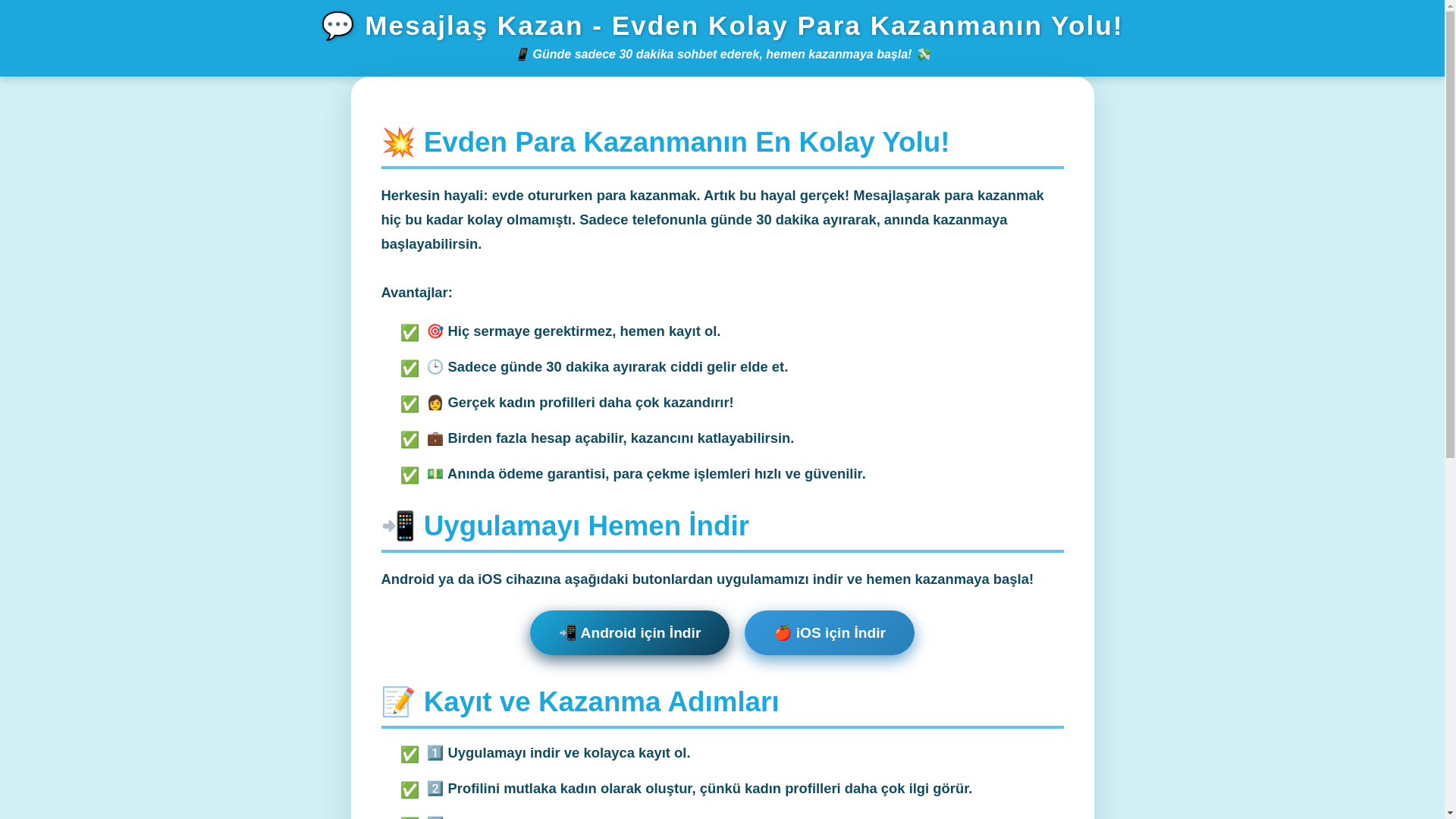 website screenshot of https://evdenkazan.site/