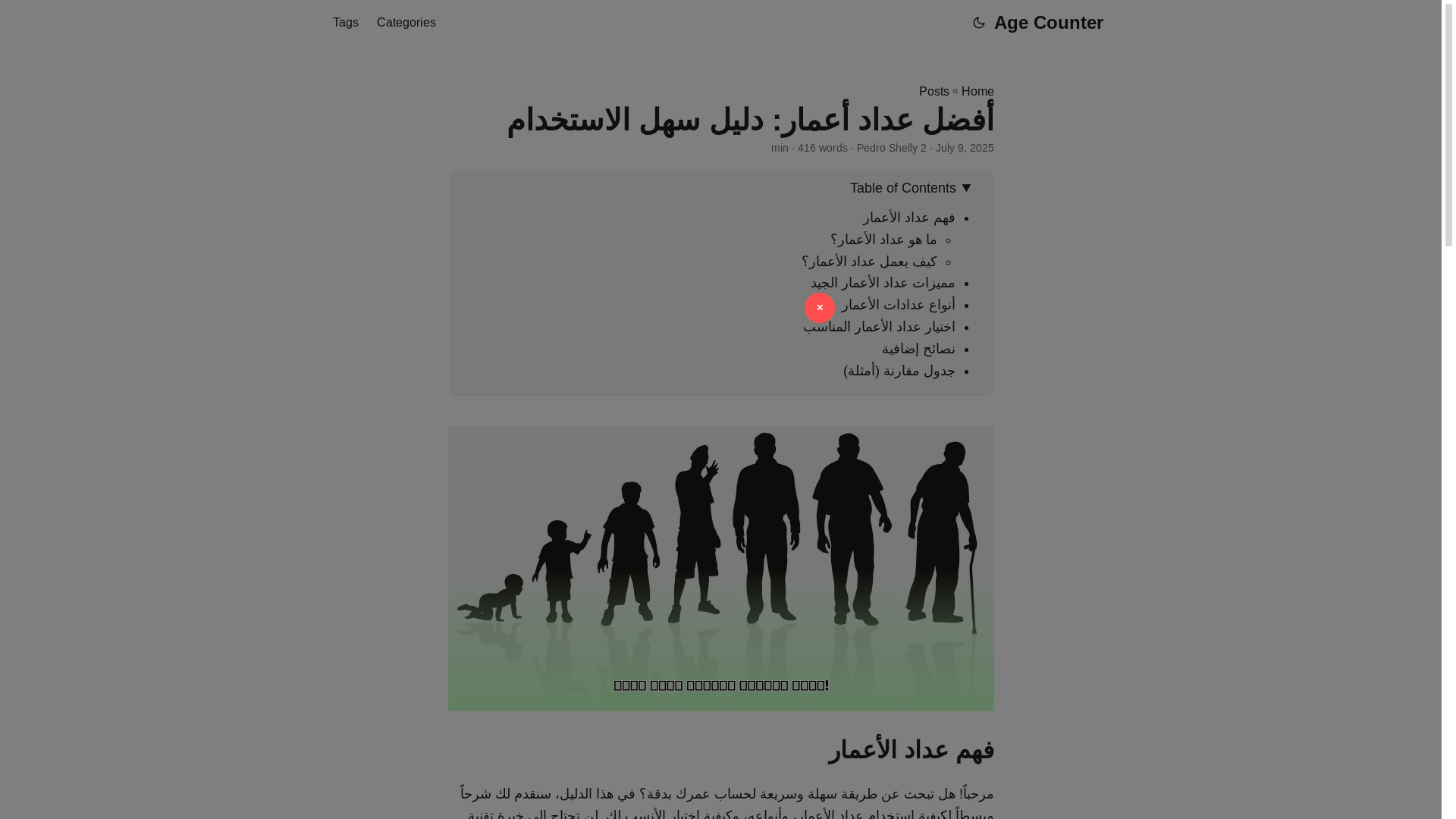 website screenshot of https://age-counter.pages.dev/
