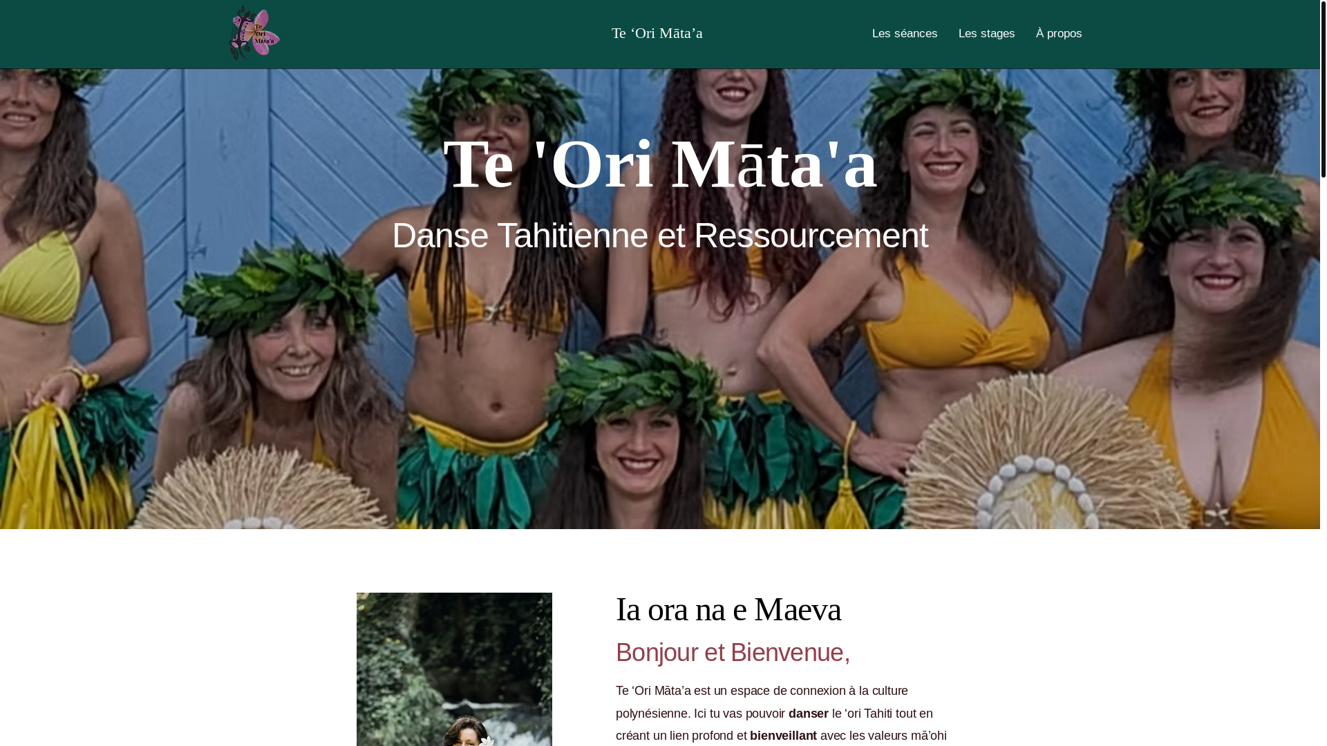 website screenshot of https://teorimataa.com/