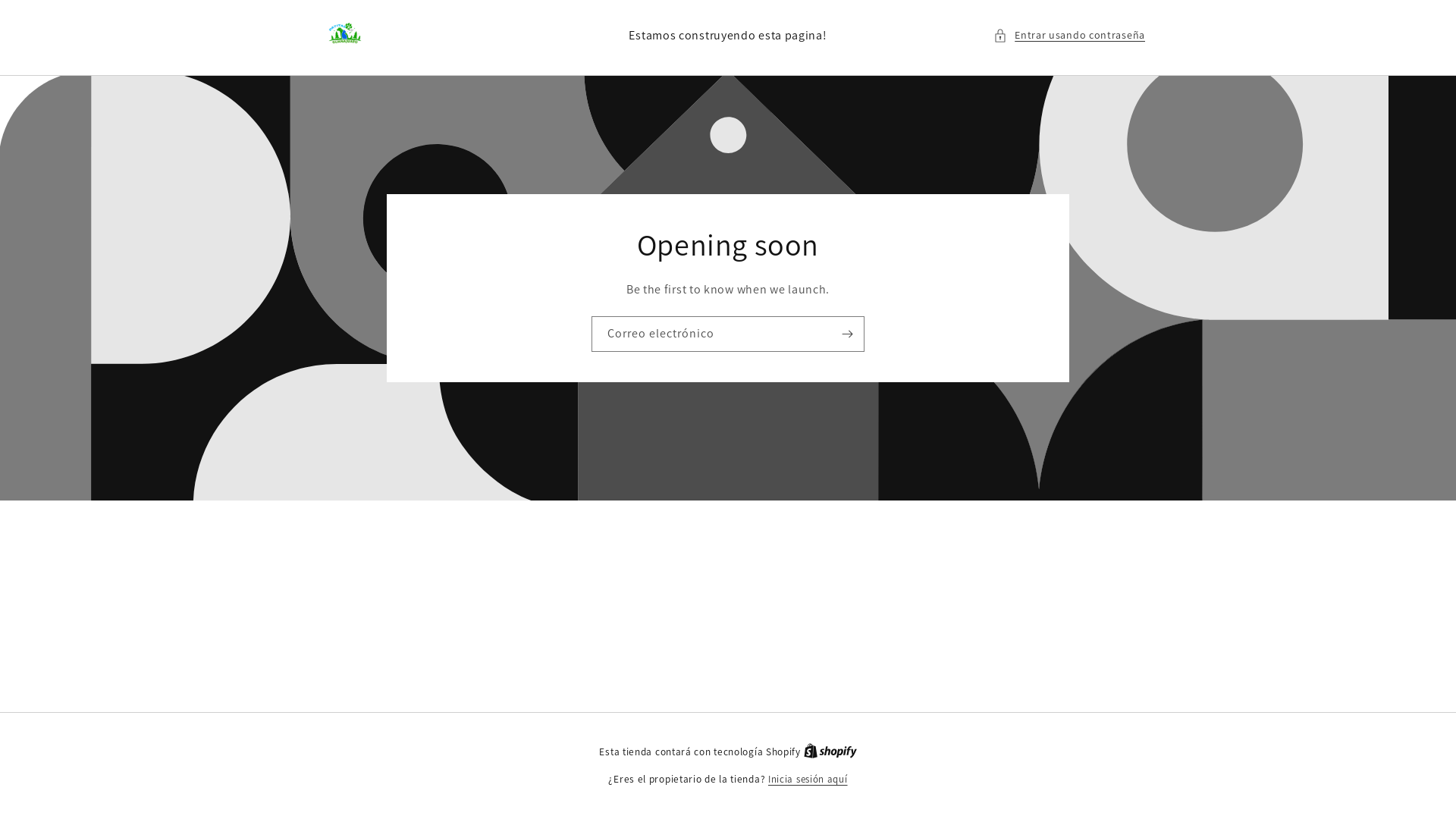 website screenshot of https://patitasgto.com/