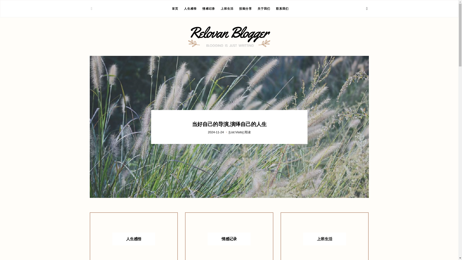 website screenshot of https://pkaac.cn/