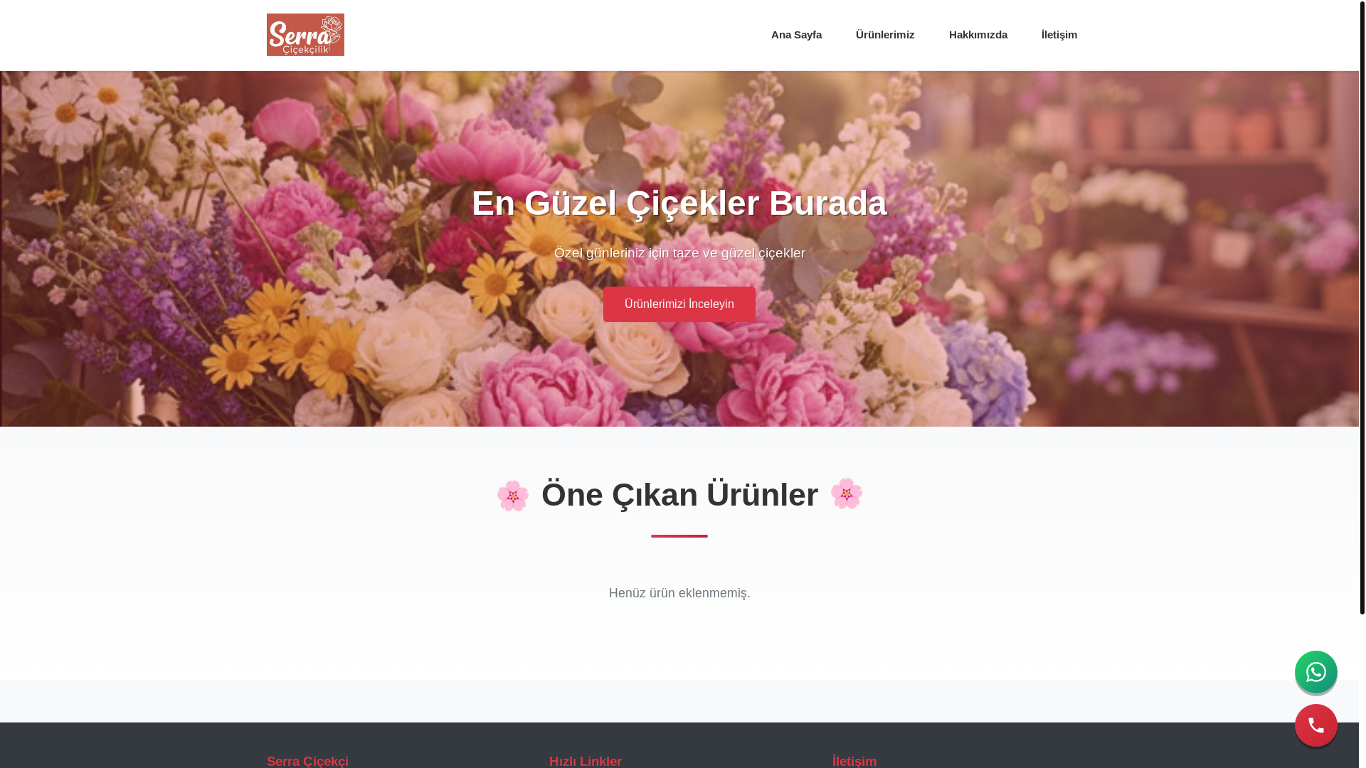 website screenshot of https://goksuncicekci.com/