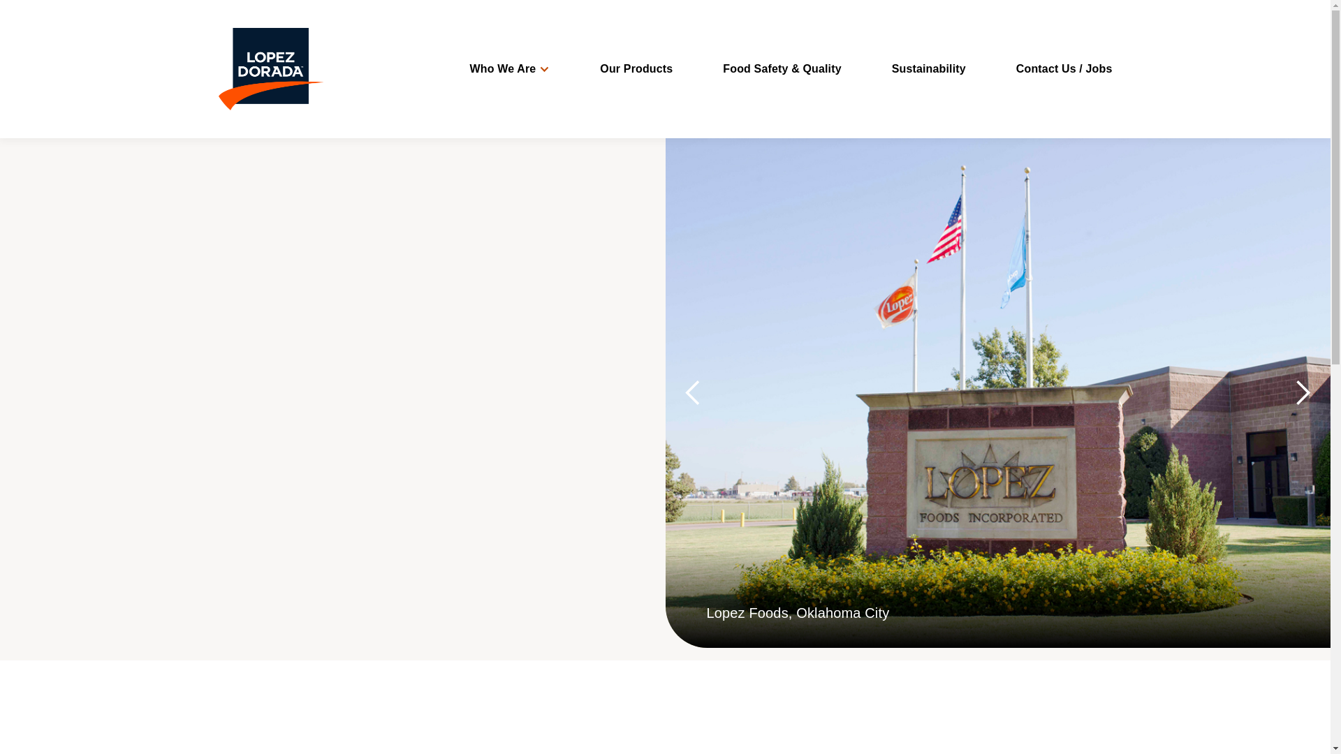 website screenshot of https://lopezdorada.space/