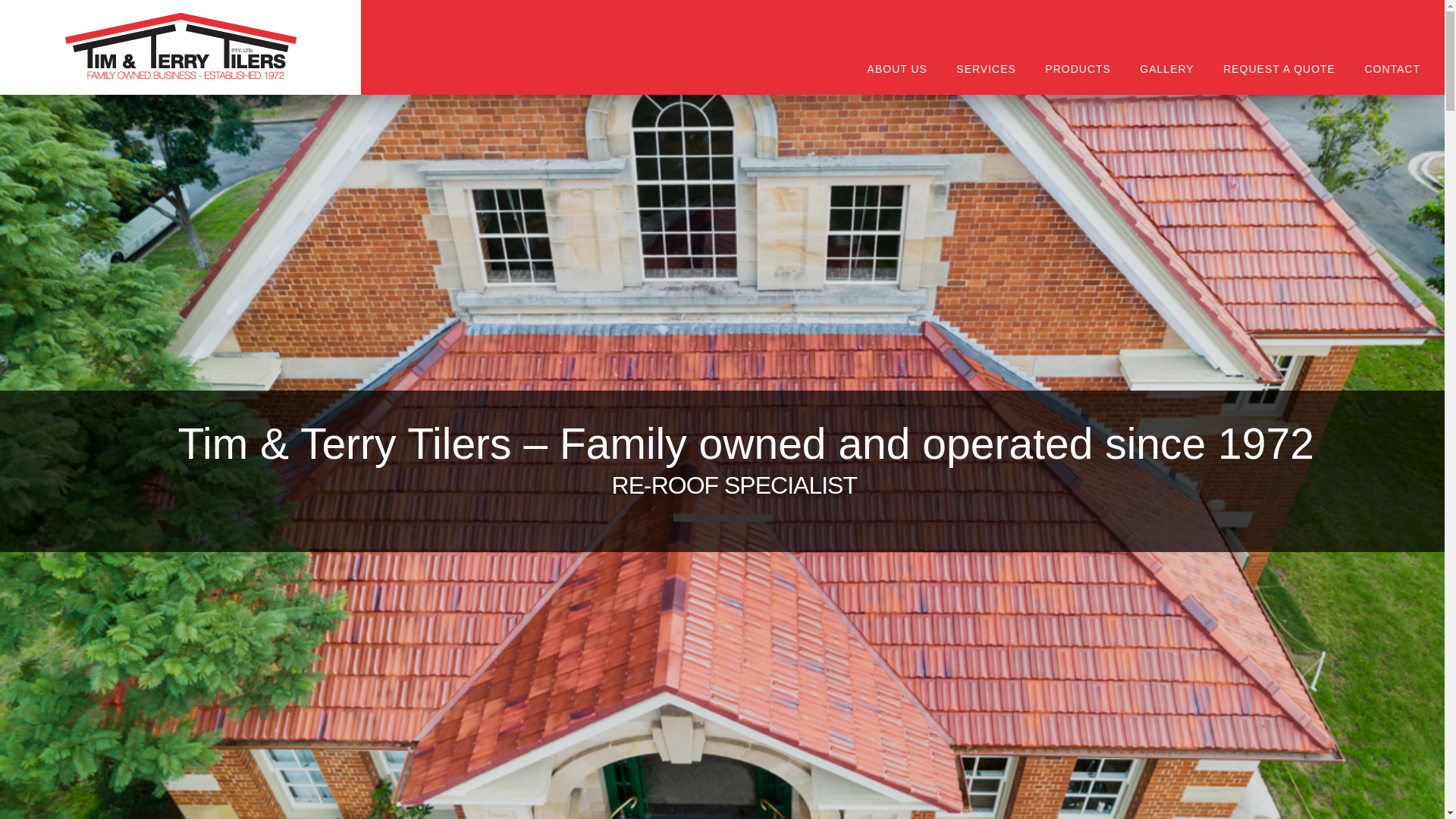 website screenshot of https://timandterrytilers.online/
