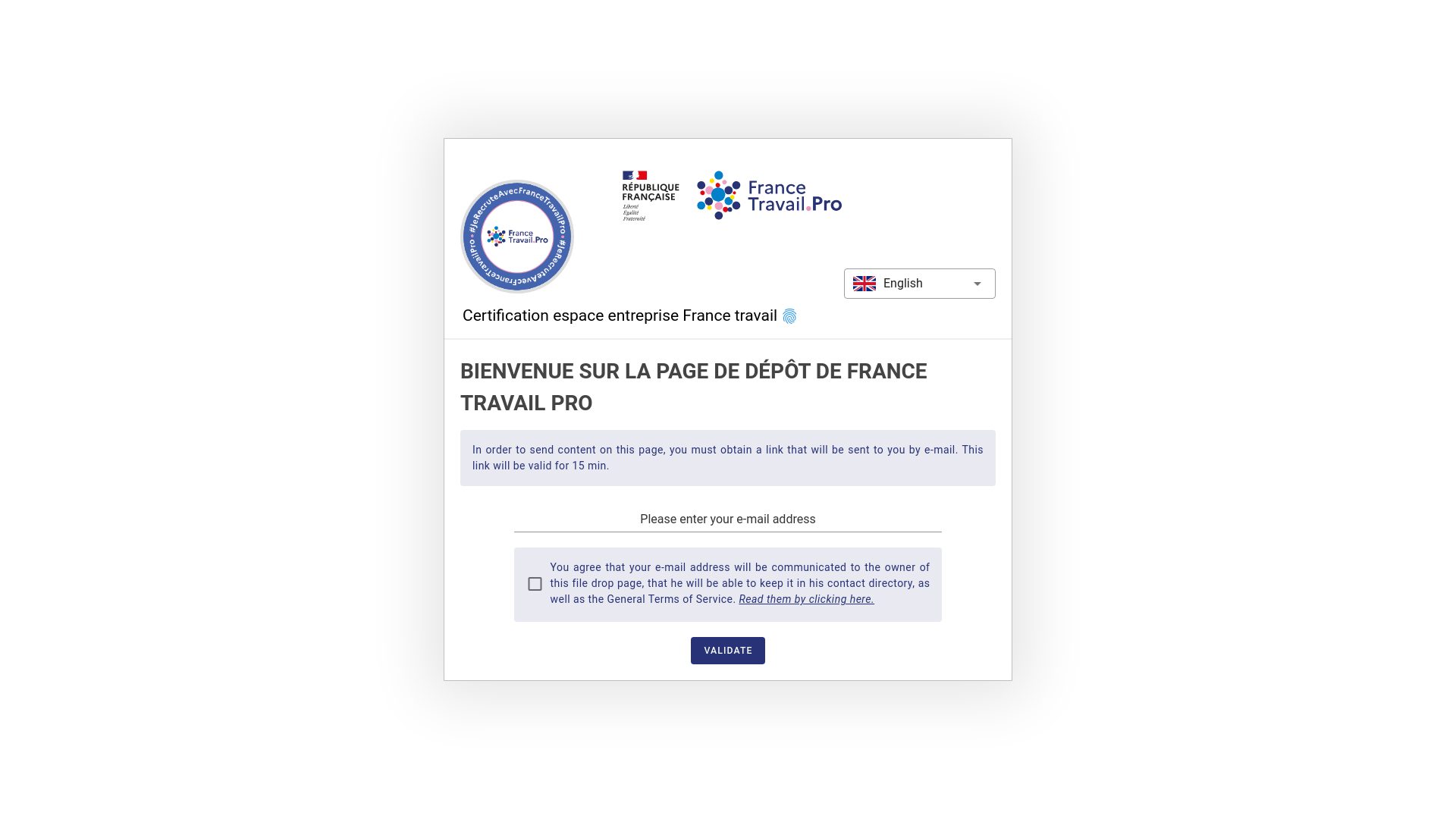 website screenshot of https://bluefiles.com/francetravail/certification-espace-entreprise-tes