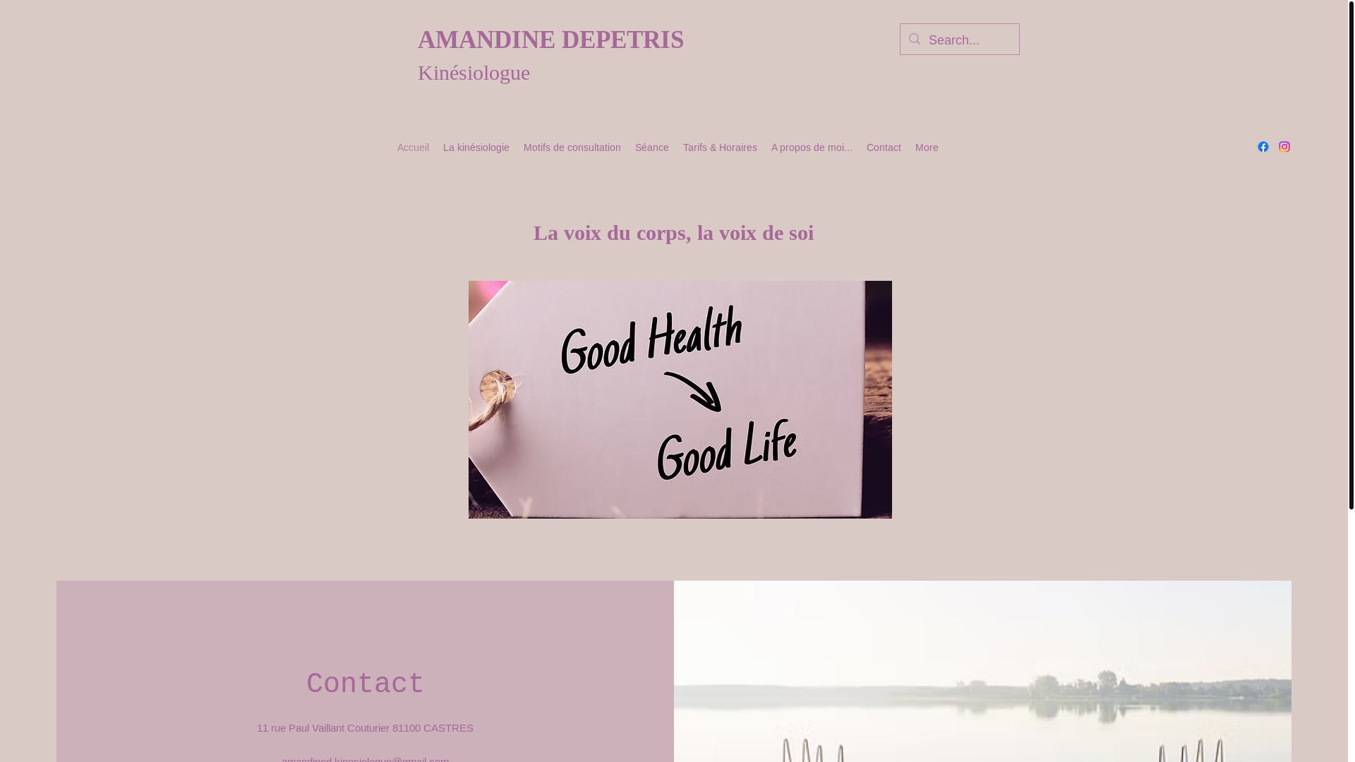 website screenshot of https://anima-lumen.com/