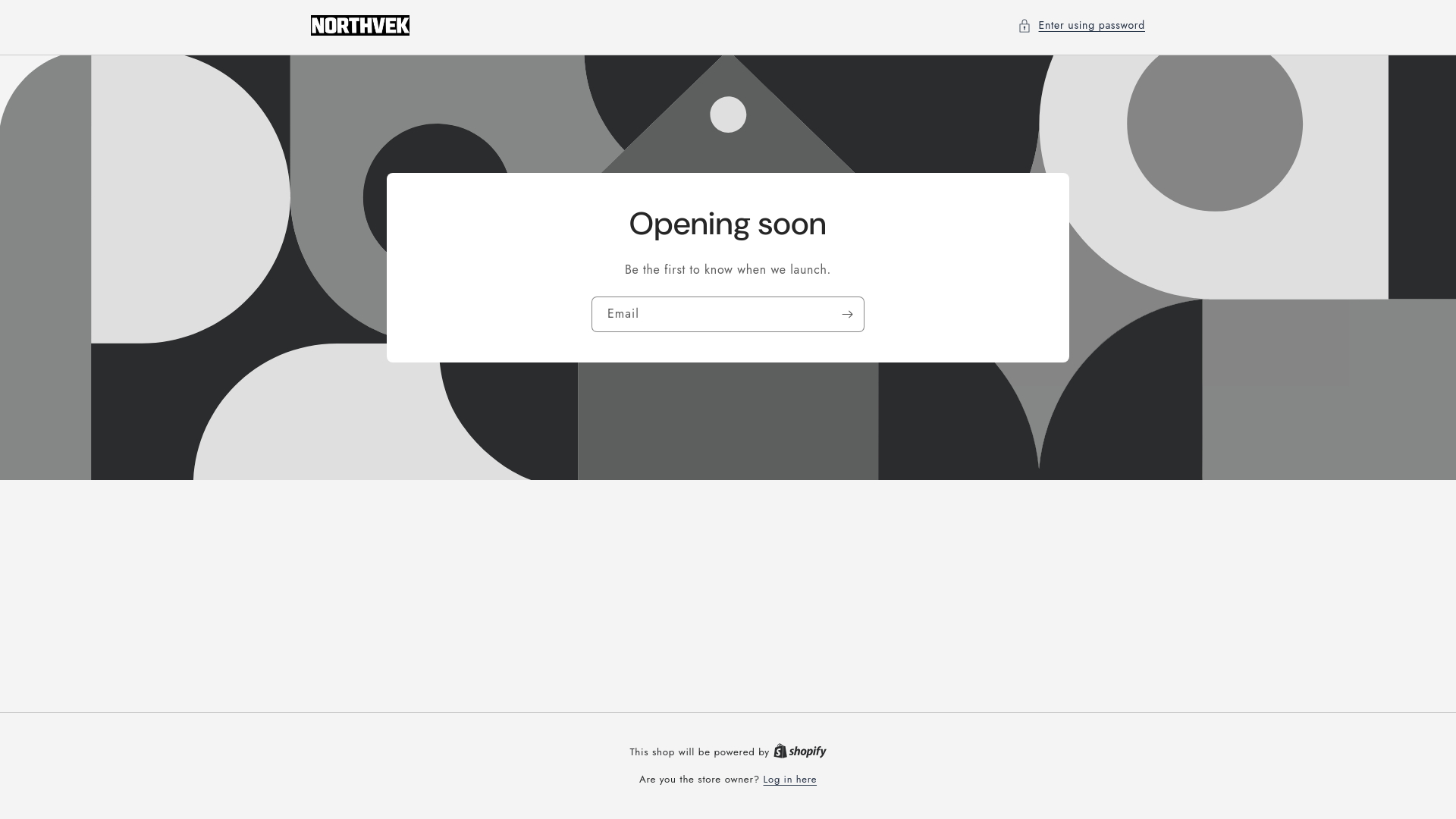website screenshot of https://northvek.com/