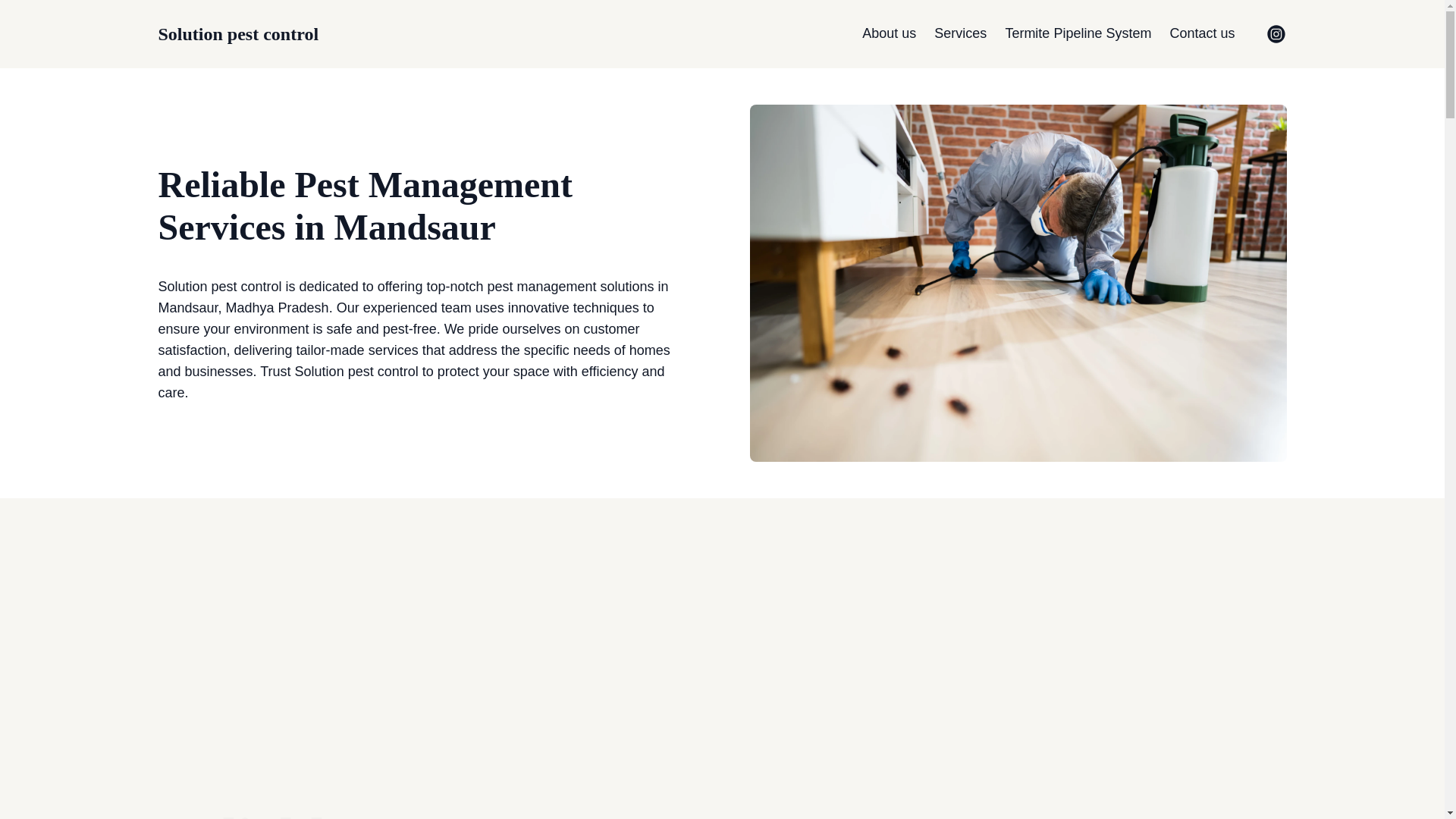 website screenshot of https://techsolutionpestcontrol.com/