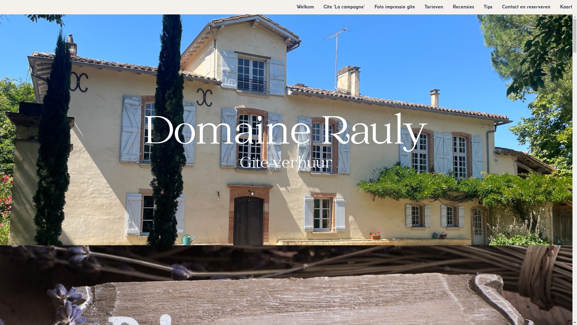 website screenshot of https://domainerauly.com/