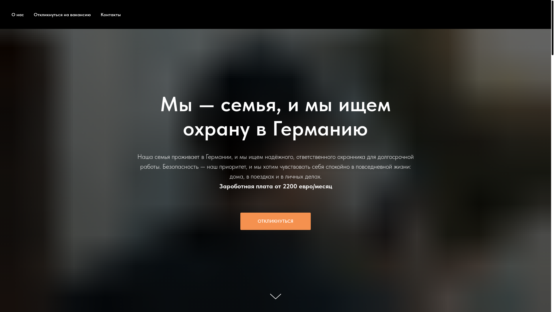 website screenshot of https://securityforuss.ru/