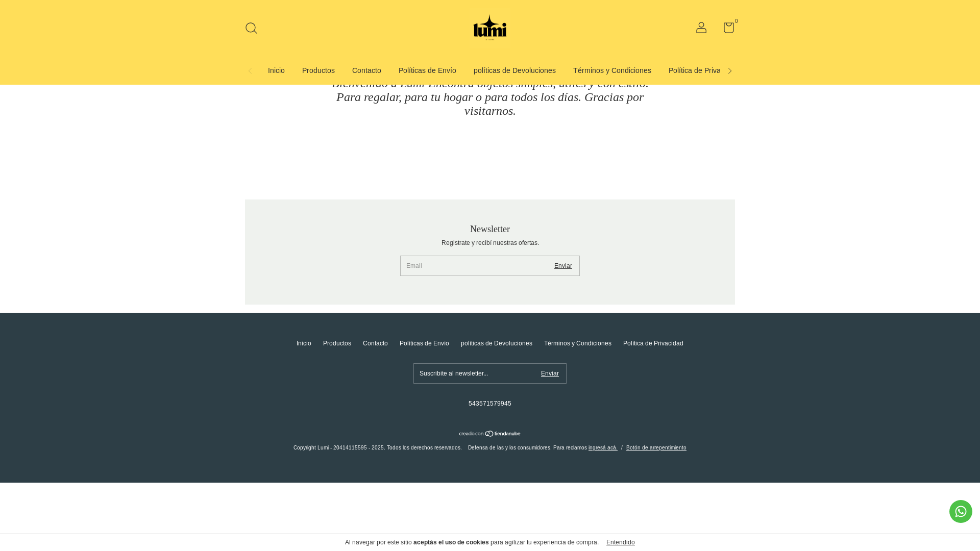 website screenshot of https://lumistore.com.ar/