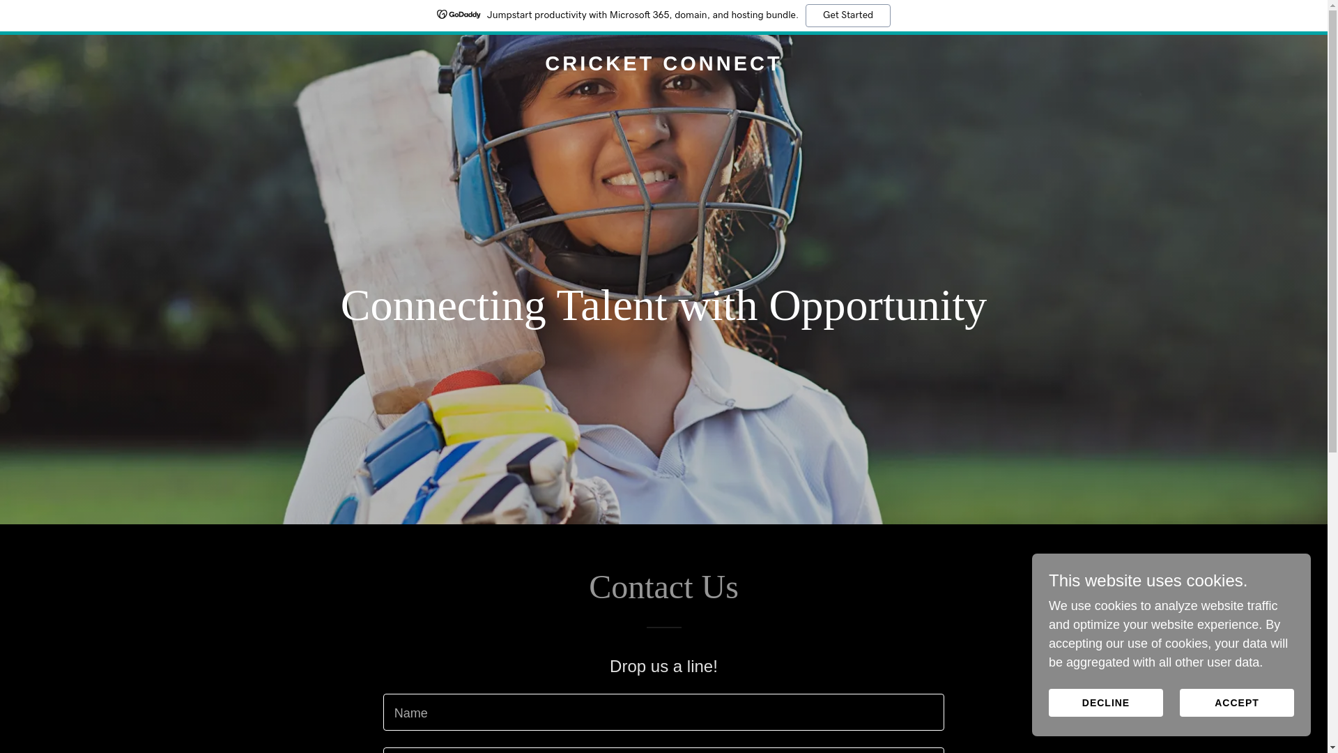 website screenshot of https://cricketconnect.uk/