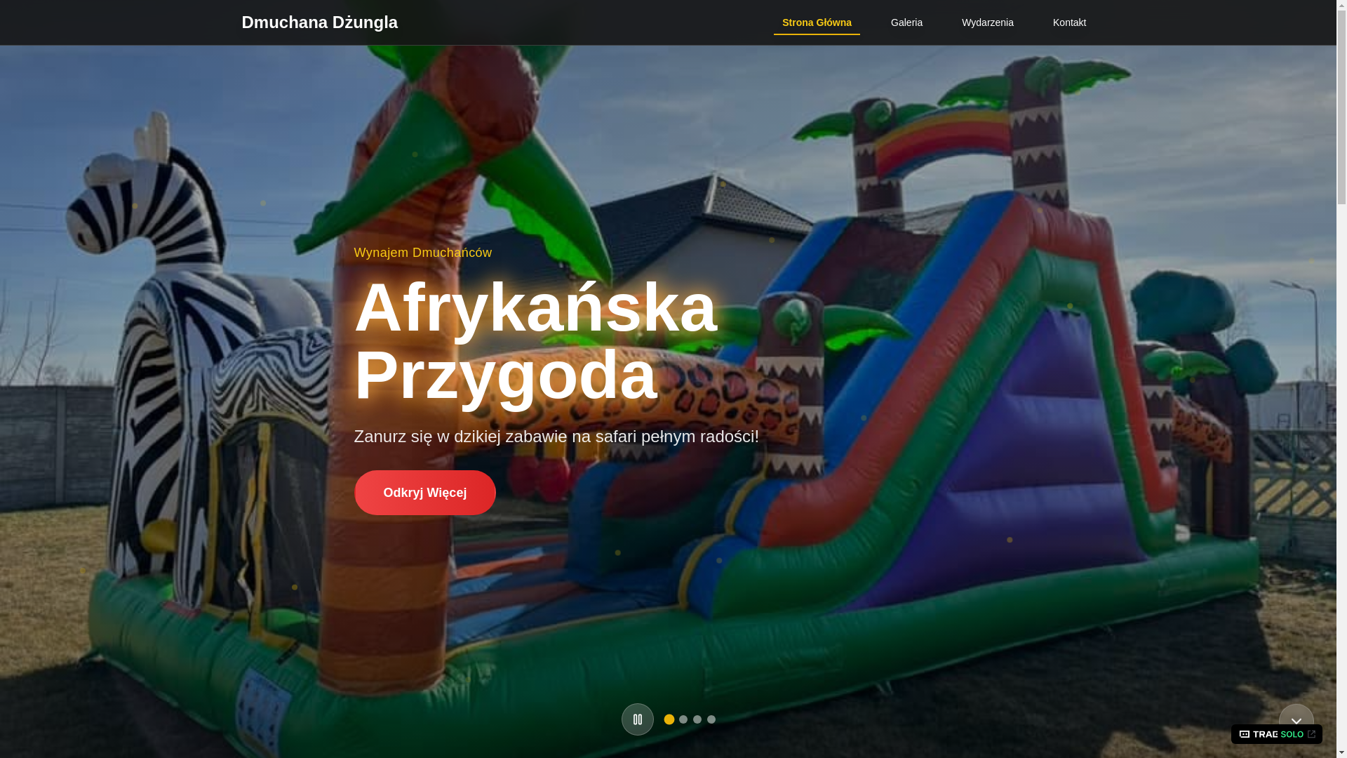 website screenshot of https://dmuchanadzungla.pl/