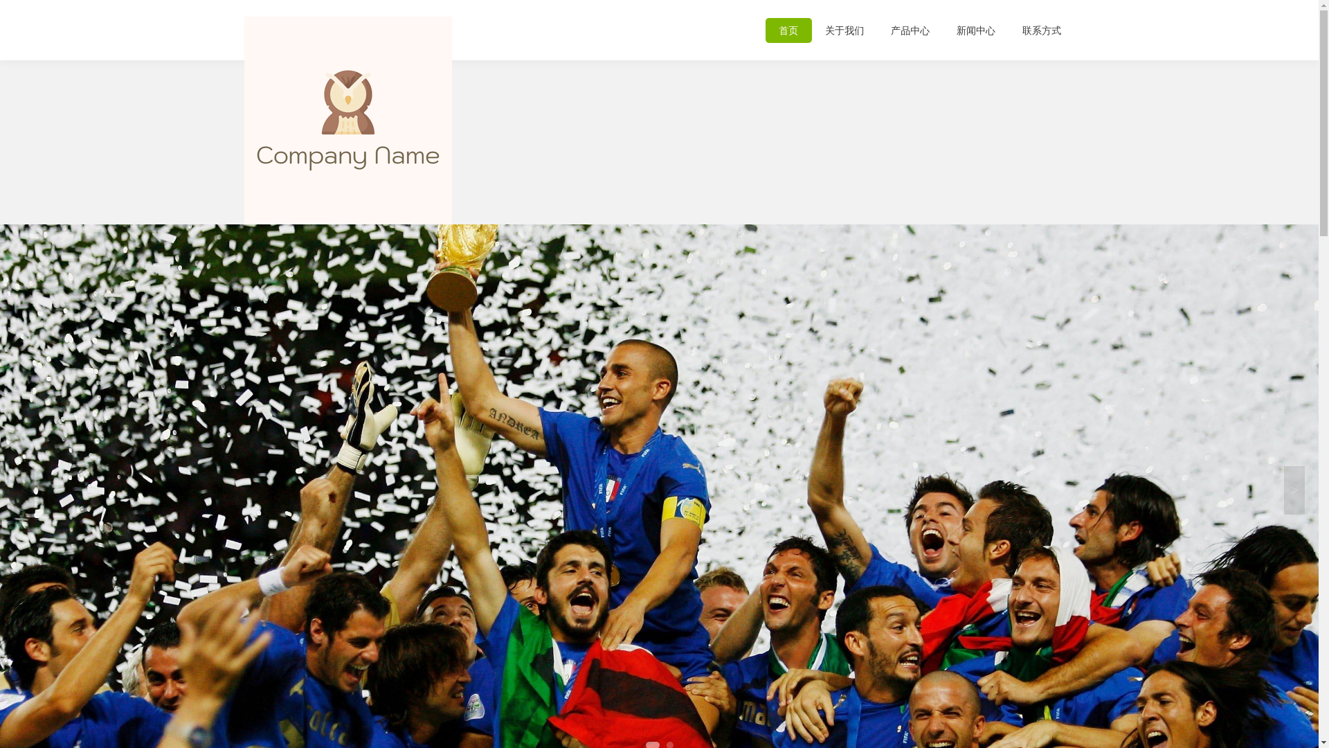 website screenshot of https://ty-haixingsports.com/