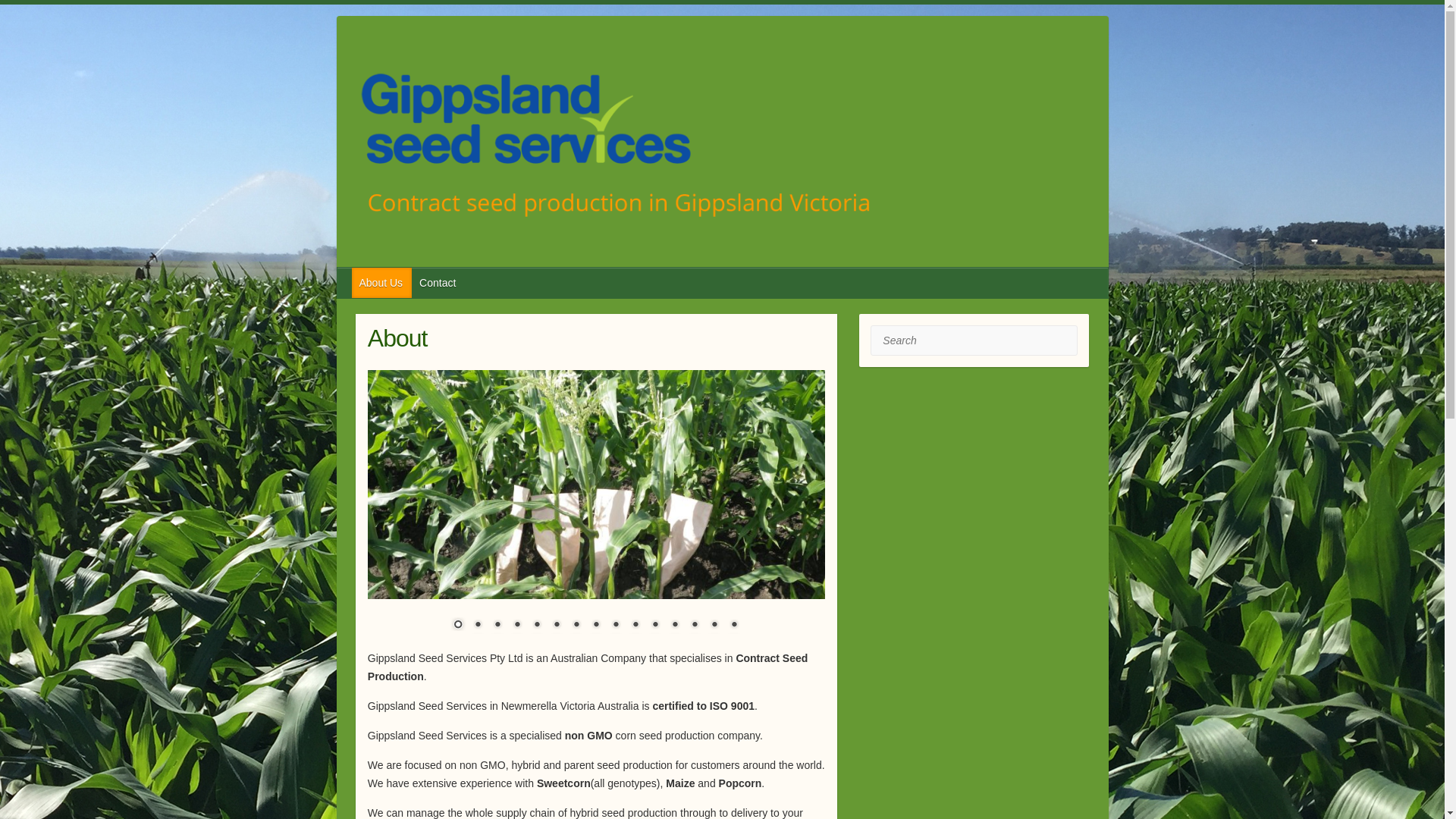 website screenshot of https://gippslandseeds.online/