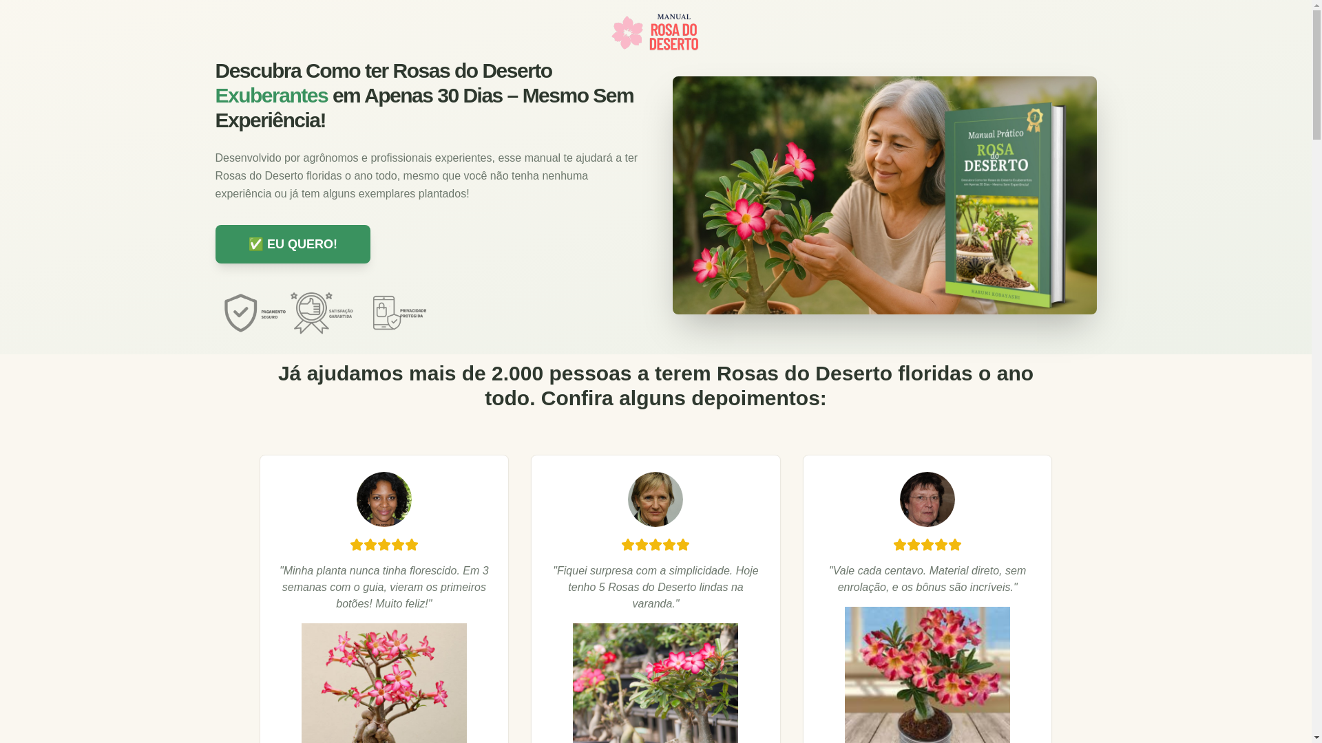 website screenshot of https://rosa-deserto-treinamento.pages.dev/
